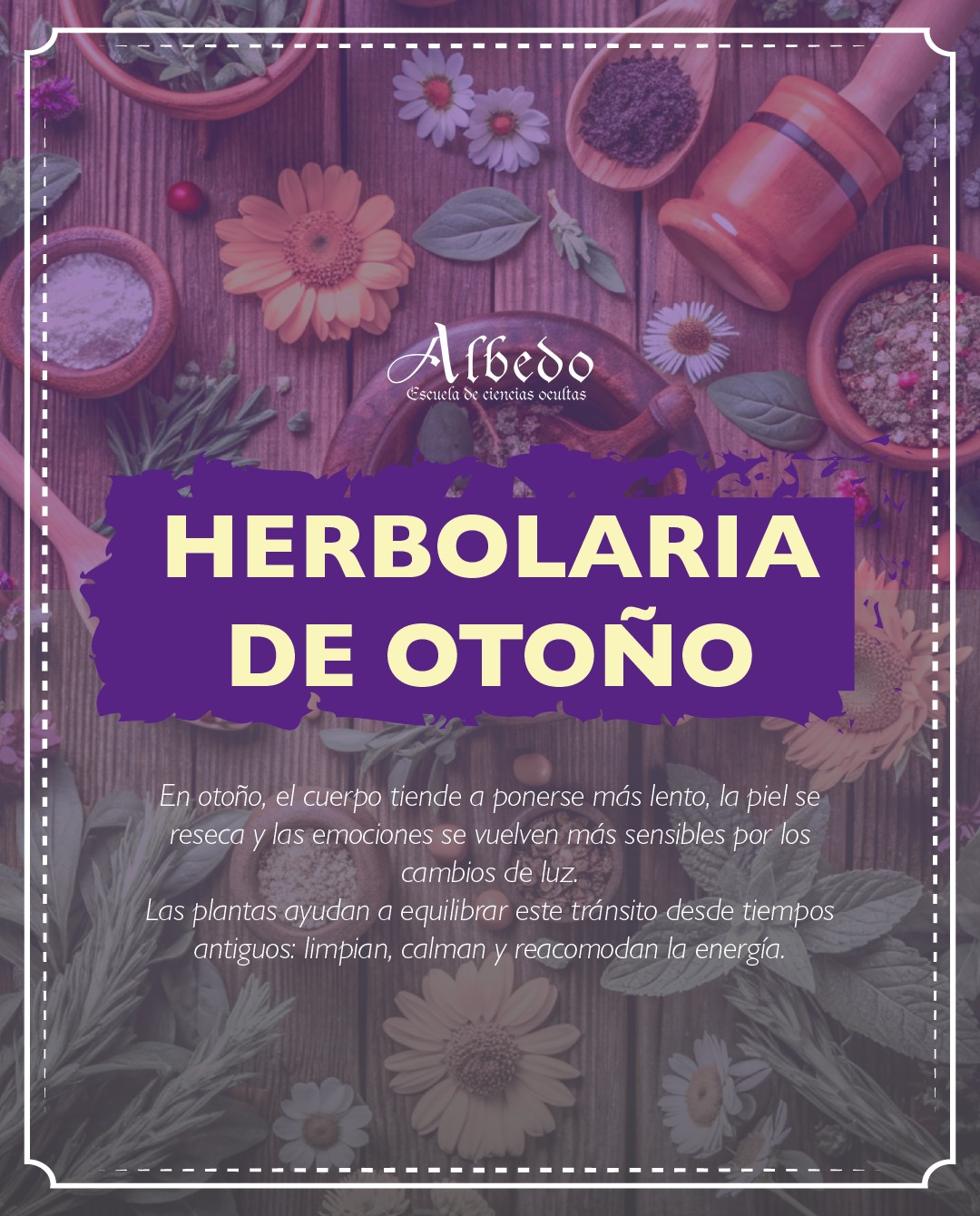 El otoño siempre mueve algo adentro, la piel pide más cuidado, la mente baja el ritmo y el corazón se vuelve más sensible. Estas plantas ayudan justo a equilibrar lo que la temporada revuelve.
Si quieres la receta completa del baño herbal, déjame un 🌿 en los comentarios.
Y si sabes de alguien que necesita un momento para reconectar con su energía, compártele este post.
.
.
.
#tereflores #albedoescuela #astrology #magician #Astrología #brujamoderna