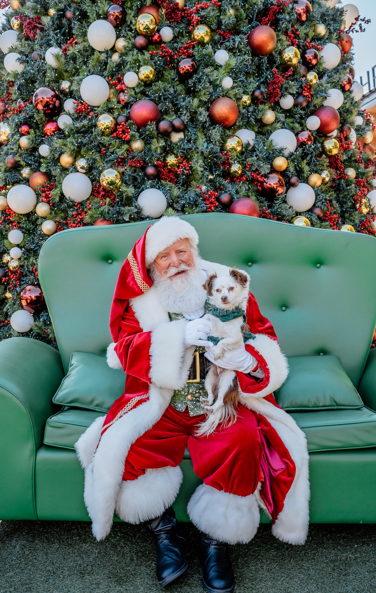 The Humane Society of North Texas is teaming up with Santa for a magical photo opportunity on December 12th from 10 a.m. to 2 p.m. at The @shopsatclearfork .
Bring your phone or camera to snap your own perfect holiday memory—no pressure, just festive fun for a cause!
HSNT is a proud nonprofit partner of the Greatest Gift Catalog Ever. While donations are encouraged to support local pets in need, your visit alone helps spread cheer. Can’t make it that day? Santa’s elves will still accept a donation in your name, mention HSNT!
Learn more and view Santa’s full schedule:
LINK IN STORY
#HumaneSocietyOfNorthTexas #AdoptablePets #AdoptDontShop #HSNT #adoptdontshop #shopsatclearfork #santaphotos #petsantaphotos