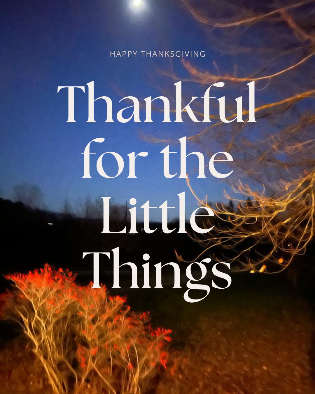 What are you grateful for this Thanksgiving?
I'm grateful for the quiet moments—the ones where you can hear your own wise inner voice again. The mornings when your head is clear. The evenings when you're present with the people you love.
If you're feeling the weight of burnout, the pull of old patterns, or the exhaustion of showing up perfectly on the outside... this is your invitation.
Gratitude doesn't mean pretending everything is fine. It means finding your way back home to yourself.
Your inner voice is still there. Waiting. Wise. Ready.
Let's find it together. 💙
#Thanksgiving #InnerWisdom #BurnoutRecovery #AlcoholFreedom #ProviderSpace