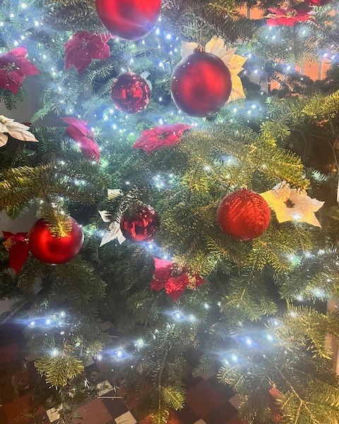 Our 2025 Christmas tree is up and sparkling here at Flory ✨🎄
Festive season = officially ON! Our Christmas Party Nights are underway and running until 23rd December.
Swipe through our menus for Party Nights, Christmas Day Lunch & New Year’s Eve Dinner — then book your table at floryrestaurant.co.uk 🎉🍽️
#cornwall #christmas #christmas2025 #newyearseve #christmasday🎄