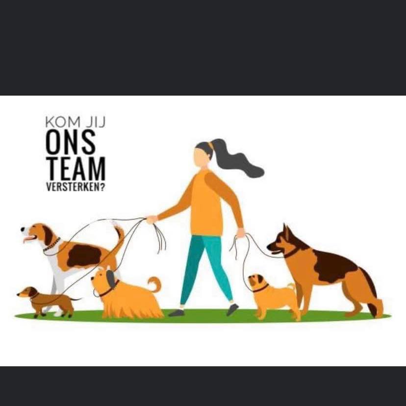 Wij hebben een vacature vrij.
Wil jij het Amsterdamse bos als kantoor hebben ? Dat kan, bij ons !
Wij van hondenuitlaatservice uitgeraasd zijn opzoek naar een fijne, flexibele collega voor ons kleine team.
Wat houdt het werk in?
Je haalt met een speciaal ingericht busje, 5 tot 8 honden op om vervolgens een uur tot 5 kwartier lekker met ze te gaan wandelen in het Amsterdamse bos. Hierna breng je ze weer thuis en ga je de volgende groep ophalen waarmee je weer het bos in zult gaan. De autoโs wisselen onderling maar we vinden het wel fijn dat ze zo af en toe ook schoon gemaakt worden.
Wat verwachten wij van jou ?
Je bent een doorzetter, een klein beetje stress kan voorkomen in dit werk. Je hebt wel meerdere honden onder je hoede en zij zullen niet allemaal even braaf het rondje mee wandelen. Elke hond heeft zo zijn of haar eigen charmes maar deze zul je met de tijd zeker leren kennen. Je staat stevig in je schoenen, je kunt soms wat kritiek van mede bezoekers in het bos krijgen, we verwachten dat je hier netjes en respectvol mee om gaat.
Je komt in andere mensen hun huis, hier ga je ook met respect mee om.
Ook is het handig om je te kunnen redden met een klein beetje Engelse Taal. Sommige klanten vinden het fijn om een praatje te maken, je bent sociaal en gaat met plezier hun hond uit laten.
- je bent in het bezit van een rijbewijs.
Wij rijden in; Kudelstaart, Aalsmeer, De Kwakel, Uithoorn, Amstelhoek & Amstelveen. Het is handig om een klein beetje de weg hier te weten, maar dit is geen pre, al doende leert men.
We nodigen je graag een dag uit om met ons mee te lopen om te kijken of dit werk echt iets voor jou is.
De dagen gaan in overleg, er is veel mogelijk. Bij ziekte of vakantie van je collegaโs is het fijn als je flexibel kunt zijn en de wijk van hun over kan nemen.
Voor meer informatie kun je contact opnemen met uitgeraasd@live.nl
#vacature #vacatures #amsterdamsebos #hondenuitlaatservice #hondenuitlaten #hondenuitlaat #hondenuit #hondenuitlaatdienst