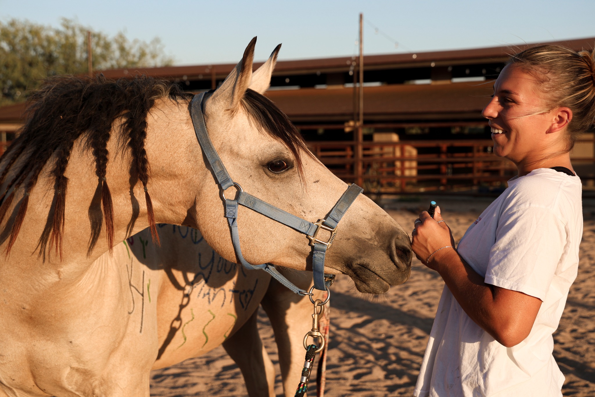 It's Thanksgiving eve (is that a thing?) and Clyde would like to know what all the delicious smells are and if horses are allowed in the dining room. If not, he calls first dibs on the leftovers...please?