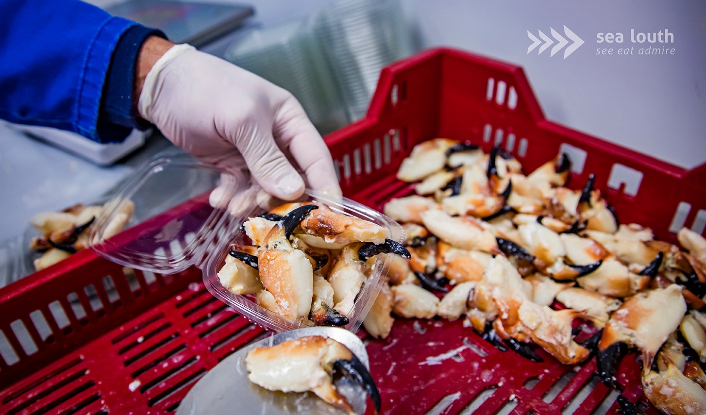 Freshness you can taste 🦀💙
Dunany Crab, a proud Sea Louth producer, brings the best of the sea straight from the boats at Port Oriel, Clogherhead, right to your plate! 🌊✨
This family-run business is all about quality, sustainability, and that unbeatable just-caught flavour. Their crab claws and crab meat are processed on site, meaning you quite literally can’t get fresher than this! 🙌
It’s the true taste of coastal Louth: simple, pure, and full of pride for local seafood traditions! Watch out for it on local menus. Discover more here www.sealouth.ie/dunany-crab
#SeaLouth #IrelandsAncientEast #KeepDiscovering #See #Eat #Admire #DunanyCrab #Clogherhead #PortOriel #IrishSeafood #SupportLocal #FreshCatch #SeafoodLovers #CountyLouth