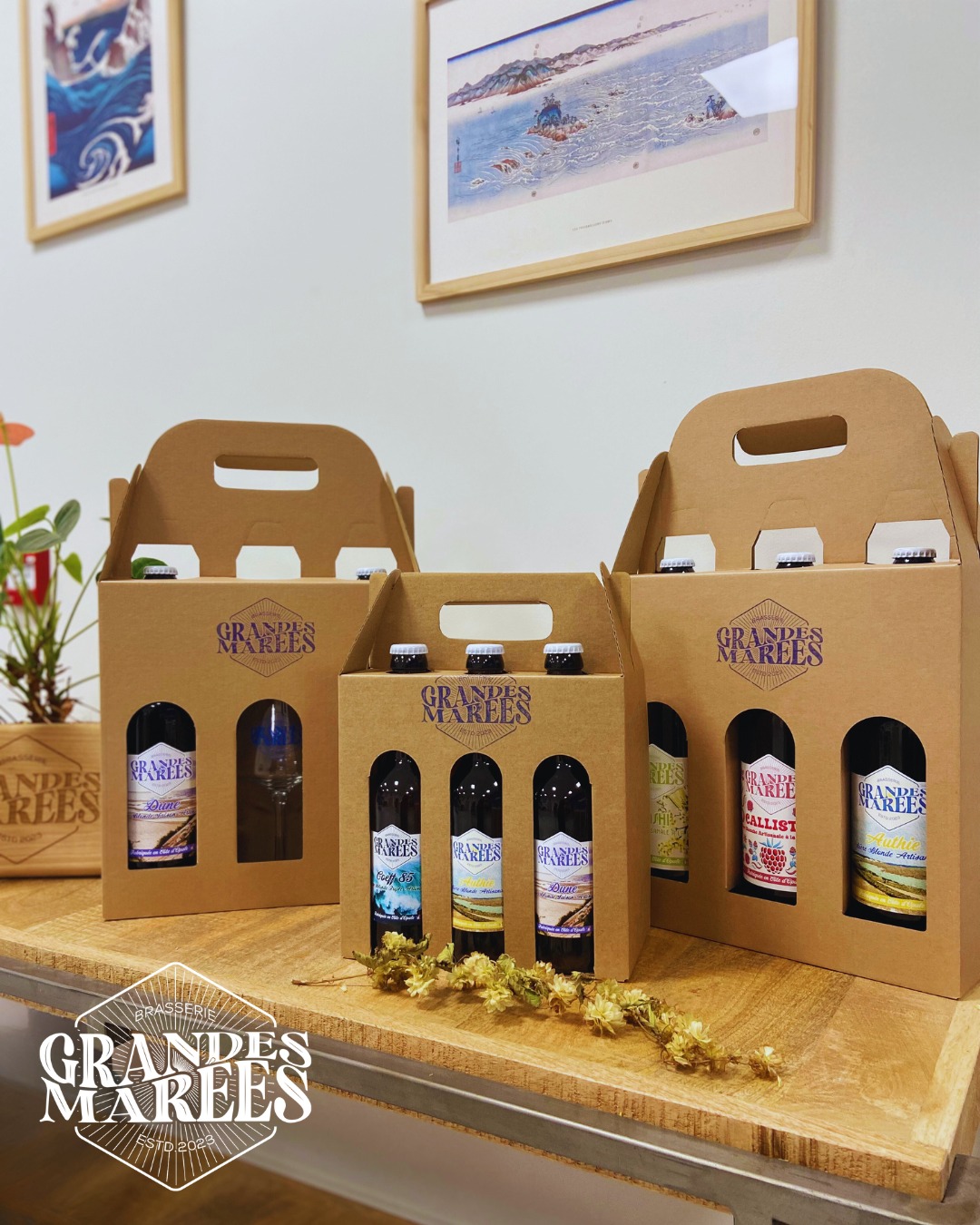 🌊❄ Marché de Noël ☃️🌊
La saison des Marchés de Noël reprend ! 🎅
Envie d'offrir de la bière artisanale et locale pour Noël ? 🎁
Retrouvez-nous dimanche à la salle des sports de Verton de 10h à 18h !
La boutique de la brasserie reste ouverte du lundi au samedi 🍺
#BrasserieArtisanale #rangdufliers #cotedopale #brasseriegrandesmarees #biere #marchedenoel