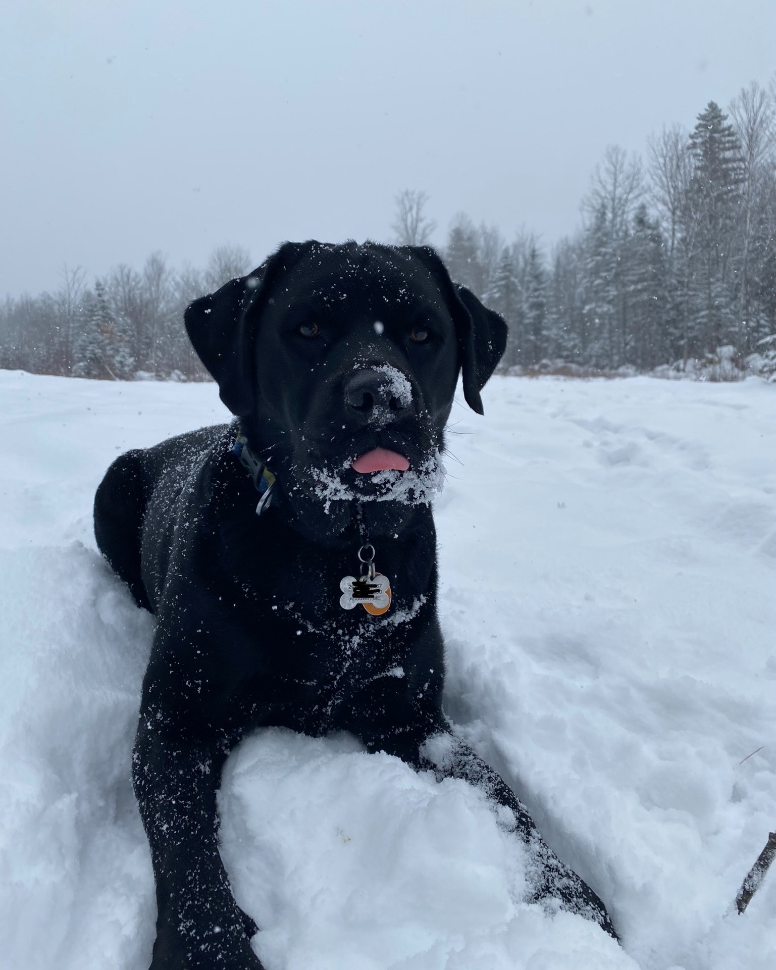 sundayriverrealestate