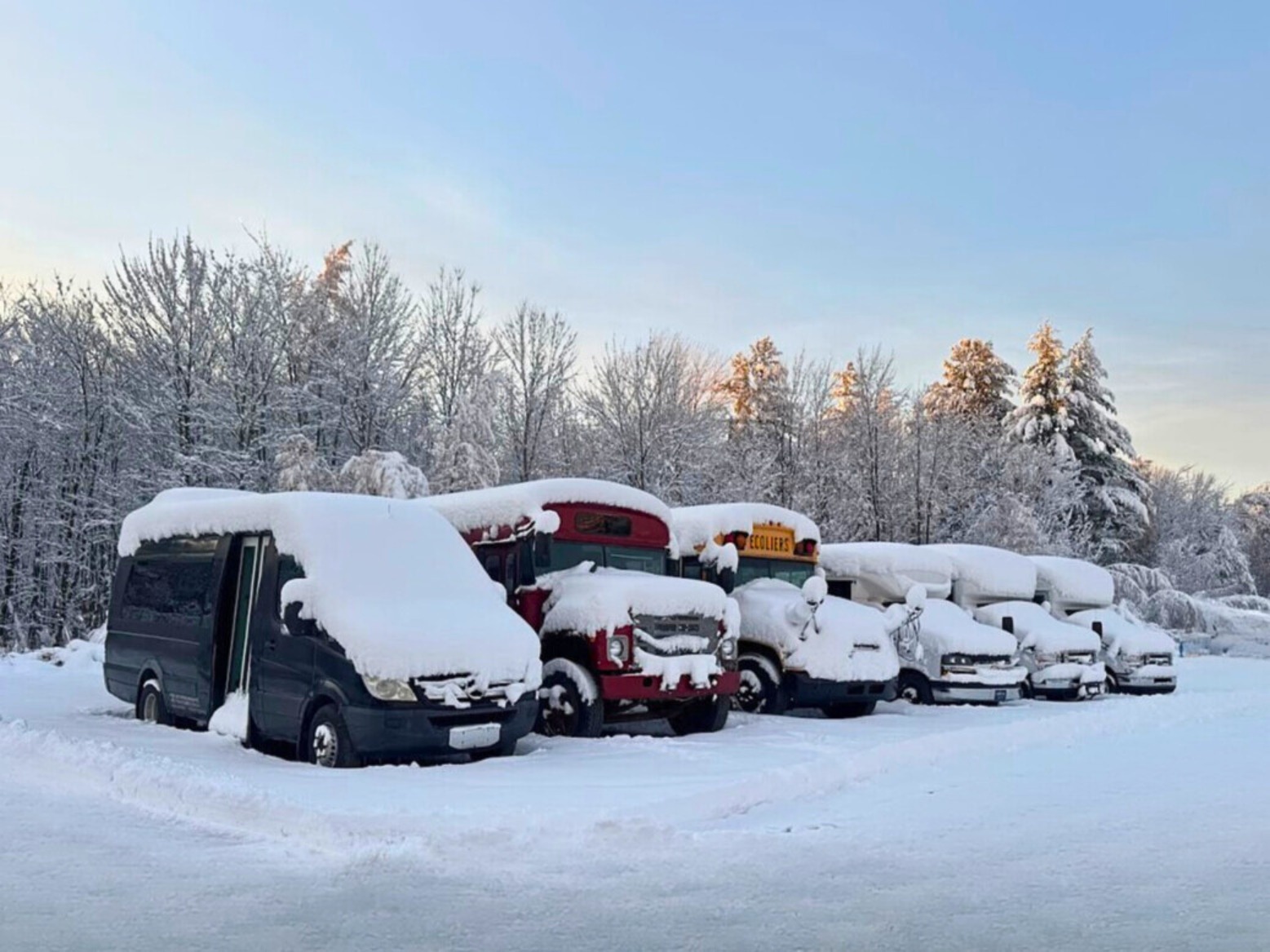 À la recherche d'un autobus? 🚌✨
On a actuellement un large inventaire : minibus, autobus scolaires, voyageurs, vintage et bases idéales pour projets skoolie, VR, mini-maison ou tiny house.
Plusieurs années, modèles et budgets, pour tous vos besoins
Vous débutez dans le monde des conversions? On est là pour vous guider et répondre à vos questions. 👋
📩 Intéressé(e)? Contactez-nous pour plus d’infos ou pour planifier une visite!
#skoolie #forsale #canadianwinter