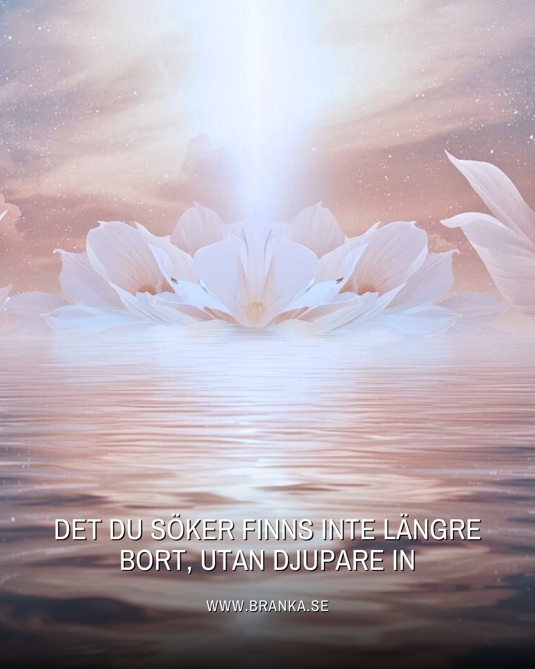 Andlig utveckling handlar inte om att bli något mer utan om att återkoppla till det vi redan är bortom våra upplevda begränsningar. Vi tror ibland att vi måste samla insikter, tekniker, metoder, som om själslig mognad vore något vi kan prestera oss till. Men ju äldre vi blir desto tydligare blir det, andlig utveckling startar inte som en expansion utåt utan som en fördjupning inåt. Det är inte ett projekt. Det är en återkoppling till vårt själsliga ursprung.
Det vi kallar uppvaknande är ofta bara en stund av igenkänning. Ett ögonblick då vi slutar söka och istället börjar minnas. Vi minns hur det känns när något är sant. Vi minns att intuition inte är något magiskt utan vårt naturliga sätt att uppfatta världen när vi är närvarande. Vi minns att själen alltid har talat till oss även om vi inte alltid lyssnat.
Andlig utveckling är inte att lämna världen utan att möta den med öppna ögon, från en djupare plats i oss själva. En plats där vi inte längre behöver låtsas, överprestera eller jämföra. Där vi vilar i vetskapen om att vår väg redan finns, och det vi söker, söker oss.
Kanske är det då livet börjar samarbeta med oss. Inte för att vi har blivit mer andliga utan för att vi har blivit mer sanna.
Önskar dig en härlig söndag där du får lov att bara vara utan prestation.
Branka
www.branka.se