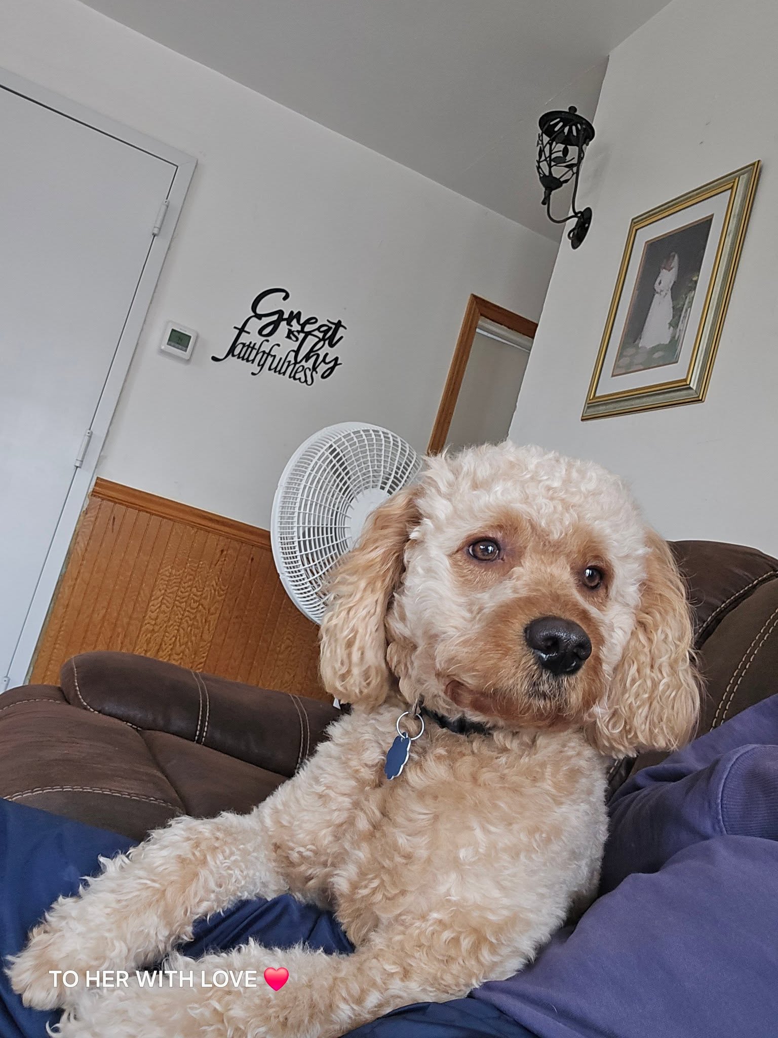 I would like to extend an invitation to help me wish Peter a happy birthday. He has now turned 2 years old, my little friend. With so much love, it is such a pleasure having him as part of the family.