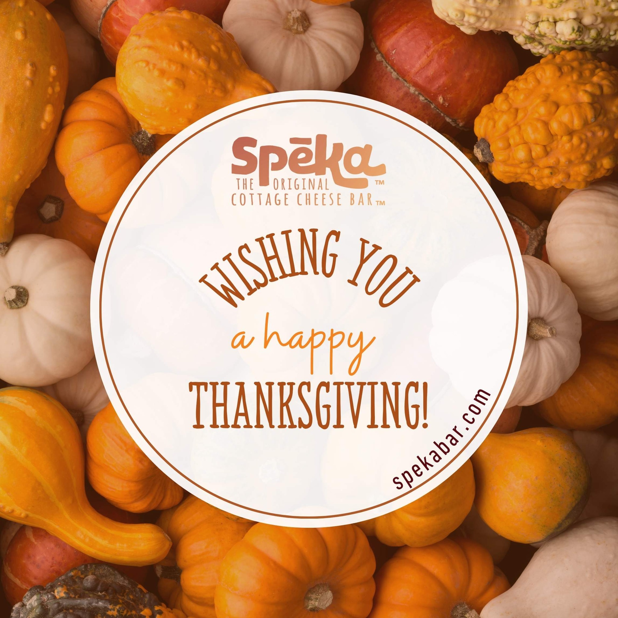 🦃🍂 Wishing You a Happy Thanksgiving! 🍂🦃
From all of us at Spēka, we’re grateful for good food, good health, and good company.
As you celebrate today, don’t forget to treat yourself to a snack that’s as wholesome as the season — 8 grams of protein in every delicious Spēka Bar!
Warm wishes and happy snacking!
✨ spekabar.com
#SpekaBar #ProteinSnack #TravelFuel #HealthySnacking #CottageCheeseBar