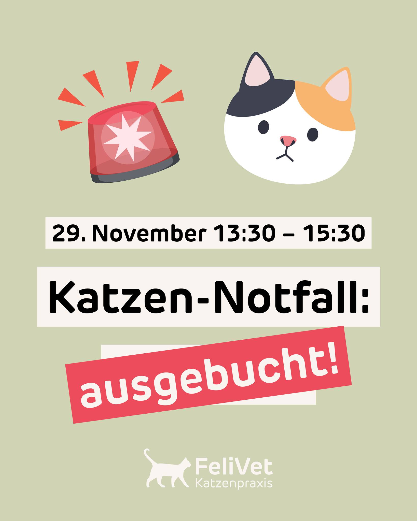 Das ging plötzlich schneller als gedacht: Unser kostenloser Kurs "Katzen-Notfall: Was tun?" am 29. November ist bereits ausgebucht. 😅
Die gute Nachricht: In unserem anderen Gratis-Kurs "Richtig mit Katzen spielen" am 13. Dezember sind noch Plätze frei. Dort basteln wir übrigens zusammen ein kleines Geschenk für euer Büssi – voller Geheimzutaten, auf die Katzen abfahren. 😻🎄 Lieber früher als später anmelden! www.felivet.cat/kurs (klickbar in unserer Bio)
Und keine Sorge: Den Notfall-Kurs werden wir in Zukunft regelmässig anbieten. Folgt uns, um auf dem Laufenden zu bleiben. Und wenn ihr euch weitere Themen wünscht, schreibt sie uns gerne in die Kommentare oder per PN! 💕
