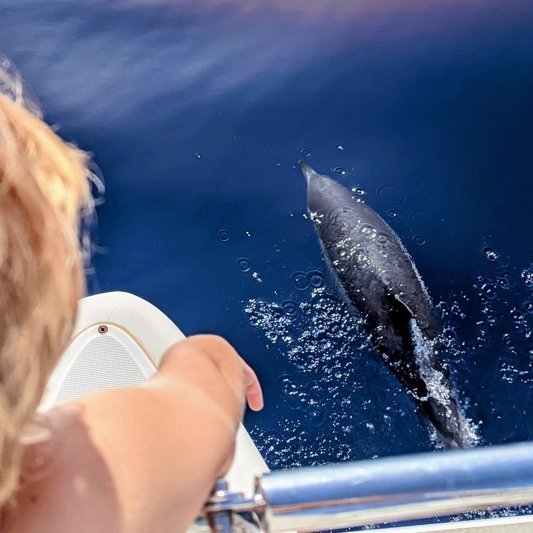 Our financial plan collapsed after three months.
The money ran out faster than we expected, and the remote job I was counting on?
It fell through.
So I did the most illogical thing:
I took a break from work.
Before we set sail, we divided our savings into three parts:
• monthly costs (how long we could stay on the journey)
• money for our return (for a soft landing on land)
• and whatever was left for buying the boat
Because we don’t have deep pockets, it was clear we’d both work during the journey.
Sergey built a remote business.
And I came with confidence from tech — a Product Manager with a promise that after three months, I’d start freelancing for my startup.
But two months in, everything changed.
The market shifted.
The company shifted.
And the plan I trusted simply… disappeared.
Our income plan shattered, and our expenses were higher than we expected.
Right then, at the most uncomfortable moment, Sergey and I agreed that I should take time off work.
For the first time since my early twenties, I asked myself what I actually wanted.
I launched our Follow the 5un channels.
I learned AI.
I was a mom and a teacher almost full-time.
And after nine months, I returned to the job market refreshed.
Someone once told me,
“If you throw stones into the water, one of the ripples will bring something back.”
So I started throwing stones.
Online communities. Virtual meetings. Networking from the boat.
And one of those ripples brought back an Australian company I still work with today.
That work gave us stability, and it allowed us to continue without needing full-time jobs — exactly what we dreamed of.
And our biggest realization?
Money is a tool, not a goal.
Before the journey, I worked to advance.
To feel successful.
But on the journey, I work to enable — car rentals, restaurants, flights home.
A short-term perspective, because the goal is to live now.
My recommendation to you?
Plan. Do the calculation.
But don’t fall in love with your plan.
It will change.
The market will change.
And you will change.
You don’t need a perfect plan.
Just one that’s good enough to get you going
.
#sailingfamily #digitalnomadlife #liveaboardlife #familytravelblogמ #FollowThe5un