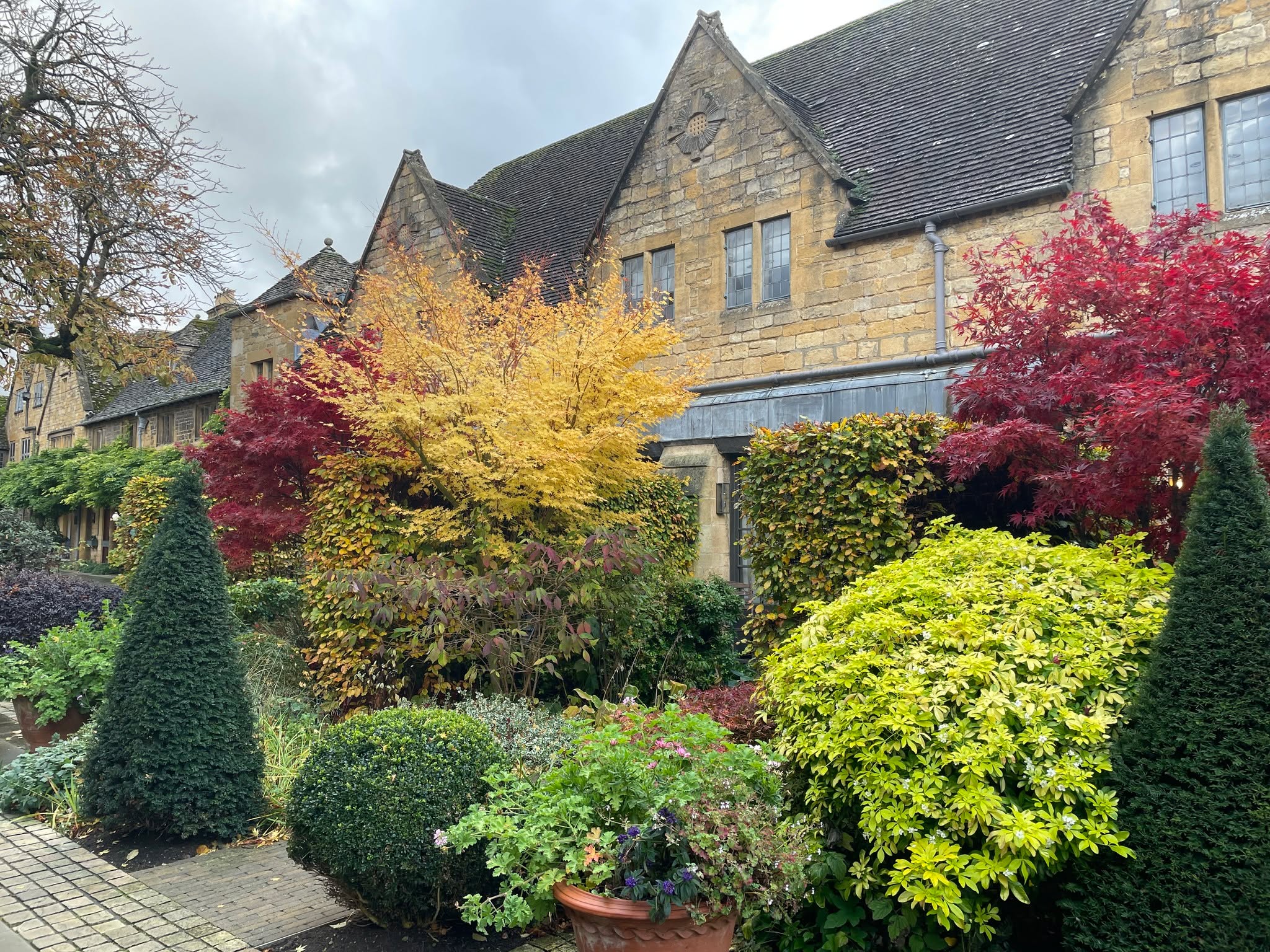 Autumn colours in the gardens of #Broadway.
#offbeatcotswolds #bluebadgeguide #bluebadgeguides
#britainsbestguides #Cotswolds #thecotswolds
#inthecotswolds #cotswoldcountry #Cotswolds_Culture #lovethecotswolds
#discoverthecotswolds #visitthecotswolds #discovercotswolds #cotswoldslife #cotswoldlife #thecotswolds
#your_cotswolds
#cotswolds #thecotswolds #cotswoldvillage #autumcolours #englishgarden
#explore_britain_ #traveling_uk
#photosofengland #instabritain #europetravel