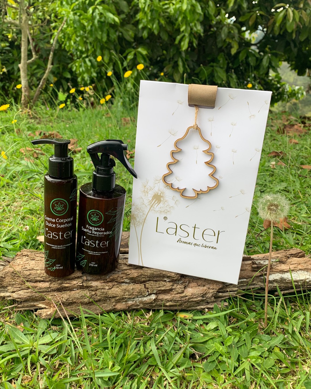 🍃🎄🍃 Llegó el regalo perfecto para llenar de bienestar a los que amas en Navidad.
El Dúo Dulces Sueños de L’aster es ideal para quienes aman los aromas suaves, relajantes y llenos de armonía.
✨ Fragancia CBD 210 ml
✨ Crema corporal CBD 110 ml
✨ Bolsa L’aster con aplique de navidad.
Un detalle que enamora y consiente 💚
¿Te gustaría uno?