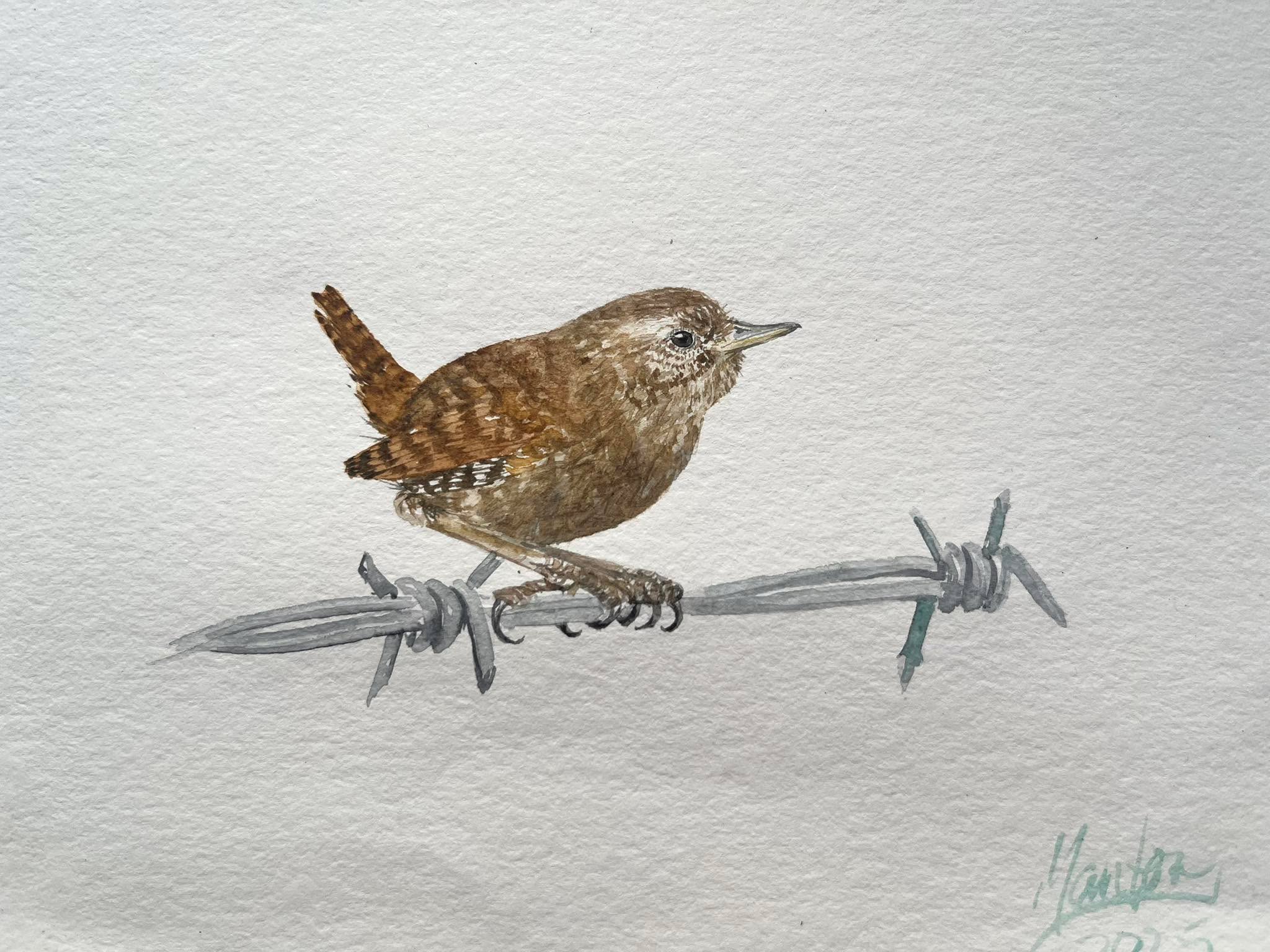 It’s been a long time since I painted anything, but a week away in North Devon finally got me back to paint and paper. I always go back to wrens when I start back. Such a familiar part of my life and if I can do get one on to the page then I will hopefully start opening up the way to more pictures.
-
-
-
-
#winter #wild #southdowns #hampshire #southampton #riveritchen #rivers #ArtworkADay #cottagecore #painting #watercolour #watercolorpainting