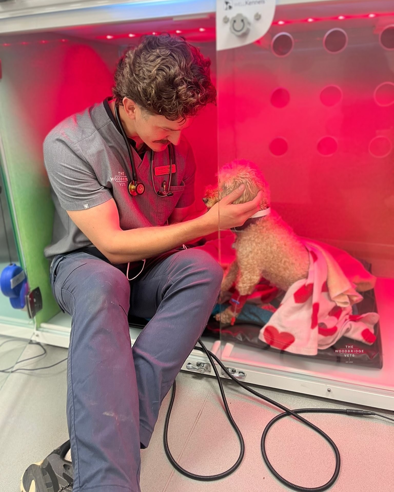 As we lead into the Christmas season, it’s the perfect time to think about the health and happiness of your pets! At The Woodbridge Vets, we believe in giving every animal - big or small, cat or dog - caring and personal veterinary experience ❤
Whether your pet needs a routine check‑up, vaccinations, or something more complex, we offer a full range of services - from soft‑tissue and orthopaedic surgery to CT scans, ultrasound, home visits, dental care, keyhole (laparoscopic) spays, and on‑site diagnostics.
This Christmas season, give your furry friends the gift of peace of mind and good health. Contact us to schedule their booster vaccine, dental check, or health check for your pet with your nominated vet 🐾❤
#thewoodbridgevets #independentpractice #veterinarypractice #thewoodbridgevetsreferrals #veterinaryteam #veterinarynurse #veterinarycare #veterinarymedicine #inpatientcare #pets #animals #cats #feline #dogs