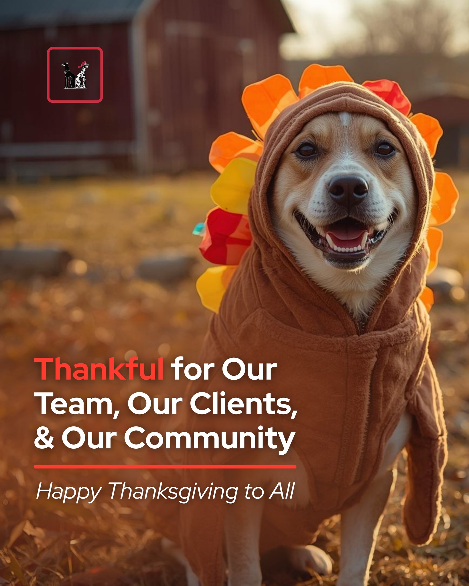 Happy Thanksgiving! Wishing everyone a safe and restful holiday. 🍂
#Thanksgiving