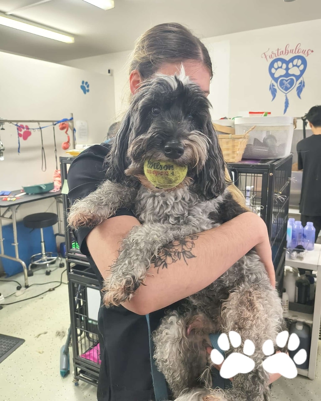 Yes, we will accept any emotional support toys, blankies or treats for your dogs 😉🥰😅