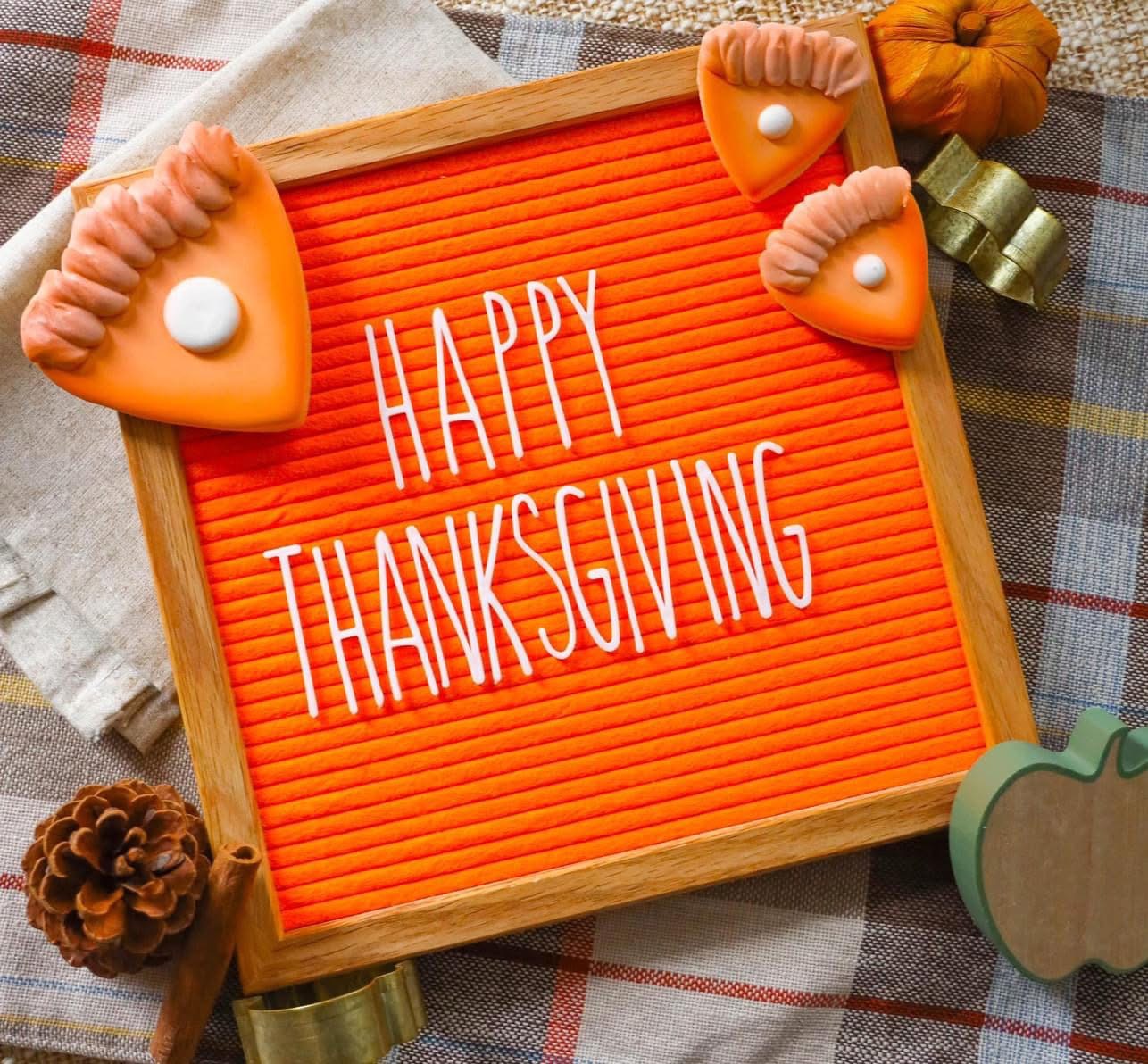 I am so grateful to all of my customers who have bought from me, encouraged me, gave me advice, supported me, and believed in me this year. Without you, I wouldn’t get to do what I love! So thank you from the bottom of my heart.
I pray that you all have a wonderful Thanksgiving and are surrounded by friends and family!