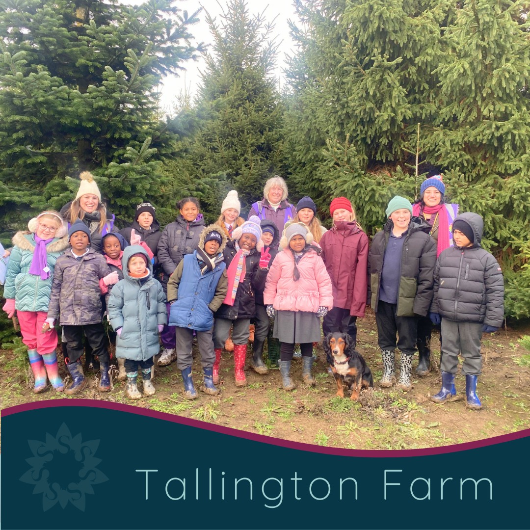 🌲 On Thursday 20th November, our school council were lucky enough to be invited to Tallington Farm to choose our school Christmas tree.
🐦 The children made bird feeders and hooked them on trees, wandered through the Christmas trees and took in lots of information about how they grow.
💫 The children also took pride in planting a few of their own trees that we look forward to visiting again in the coming years to see how they are growing. Who knows, we might even be able to choose one of our own planted trees to have in school in a few years?!
.
.
.
#tallingtonfarmchristmastrees #christmastree #SchoolCommunity #stjohns