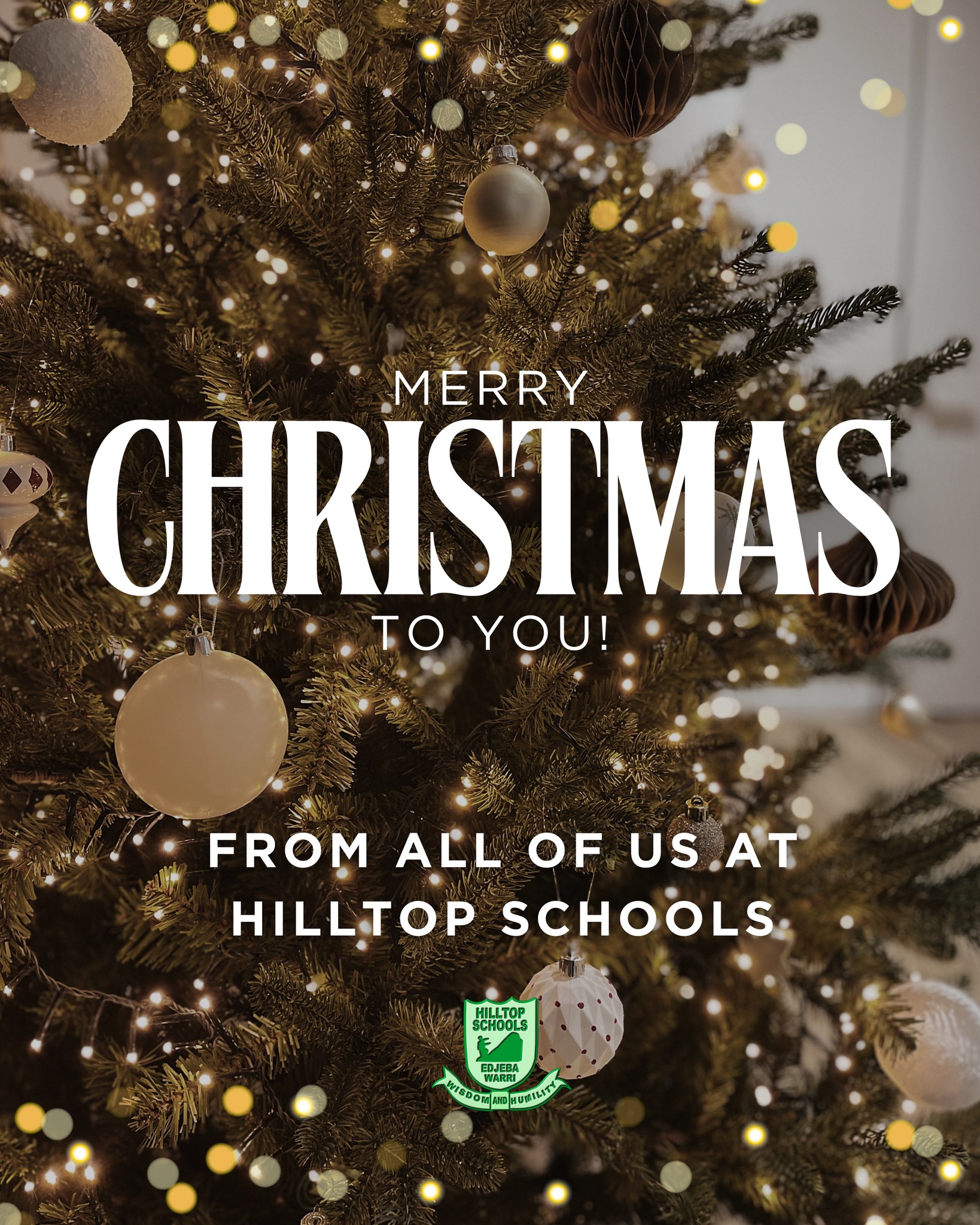 Merry Christmas to you and yours from all of us at Hilltop Schools! 💚💜
#hilltopschoolsedjeba #warrideltastate #primaryandsecondaryeducation #community #education #Christmas2025 #merrychristmas