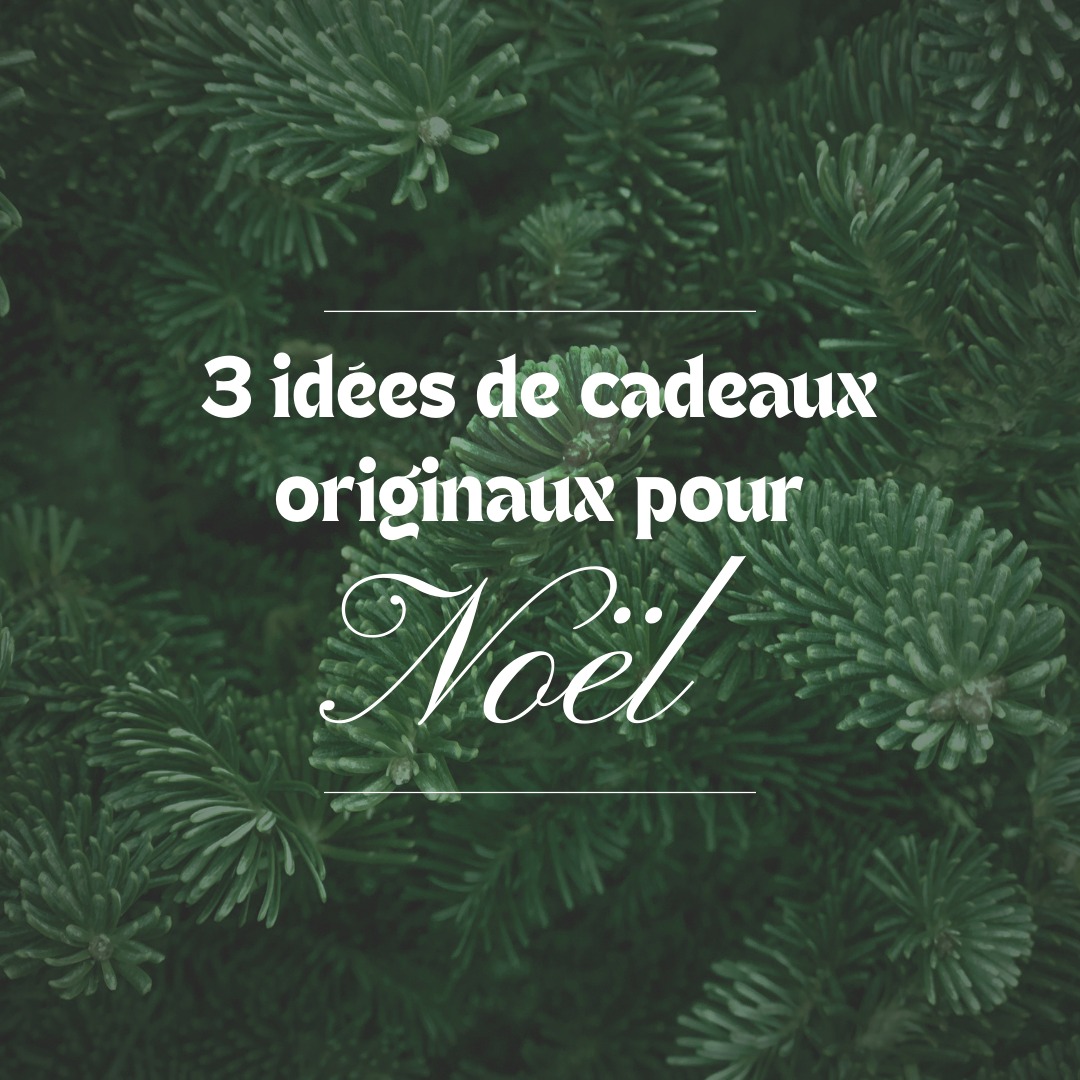 Vous êtes en manque d'idée pour Noel ? Organiser un séjour surprise à votre entourage. On vous donne quelques idées de séjours et activités sur loireenvie.fr 🎁
#Loireenvie #noel #ideecadeau #loireenvie #voyageenfrance
📷DSL71 Les Coflocs / LB Rando / OTBCL