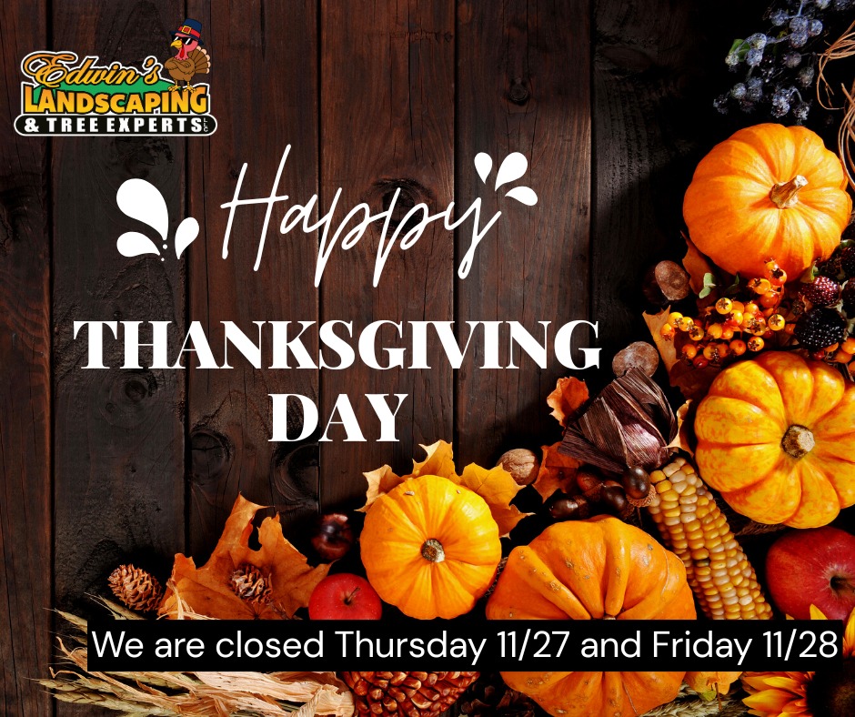 Please note that our office will be closed for Thanksgiving on Thursday, November 27th, and Friday, November 28th. We will resume normal business hours on Monday. We hope you have a wonderful holiday filled with joy and gratitude, please stay save. we look forward to serving you again soon. Happy Thanksgiving!🦃🍽
WWW.EdwinsLandscapingandTree.com
#edwinslandscapingandrreeexperts #catonsville #happythanksgivng