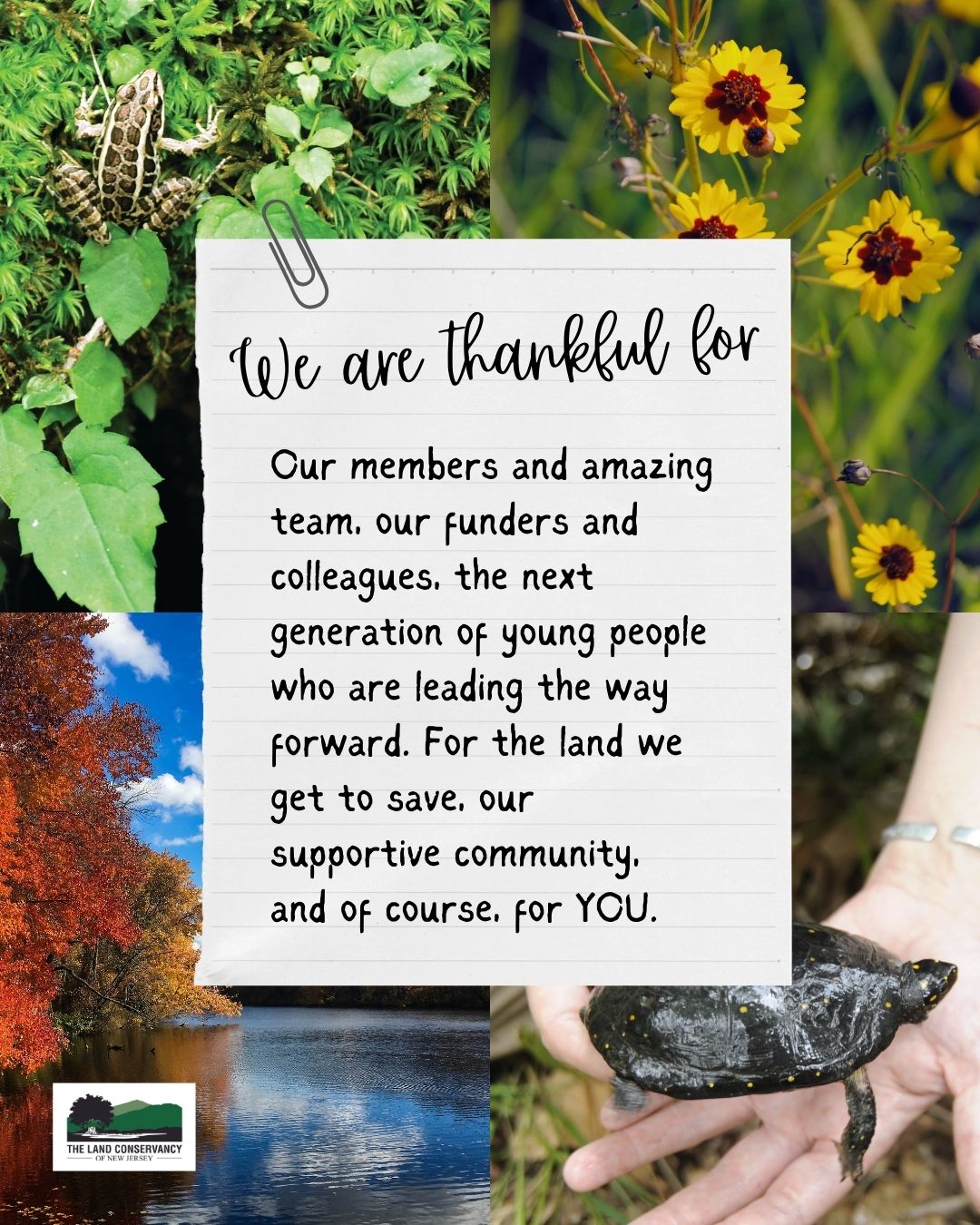 Today and every day, The Land Conservancy of New Jersey is thankful for our members and amazing team, our funders and colleagues, the next generation of young people who are leading the way forward. For the land we get to save, our supportive community, and of course, for YOU.