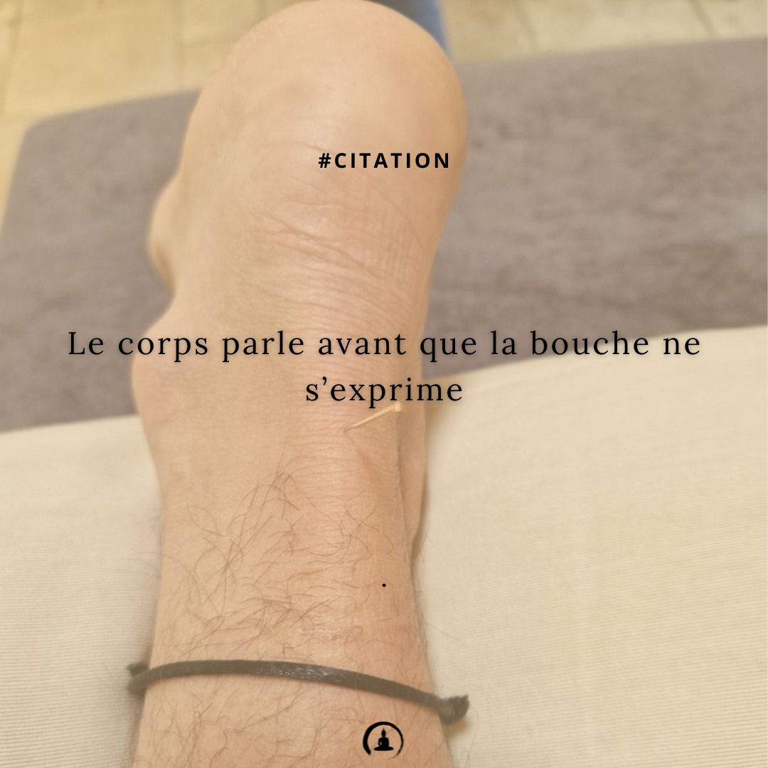 📍 Cabinet Zen Garden - Carouge
🔹 Acupuncture | Fasciathérapie | Thérapies énergétiques
🔹 Approche holistique pour harmoniser corps & esprit
🔹 Prenez soin de votre santé naturellement
📲 RDV & infos sur 👉 www.cabinet-zengarden.org
💬 Vous avez déjà essayé la Médecine Chinoise ?
Dites-moi en commentaire ! ⬇️
#MédecineChinoise #Acupuncture #Fasciathérapie #BienÊtreNaturel #ZenGarden #Carouge #SantéHolistique #ÉnergieVitale