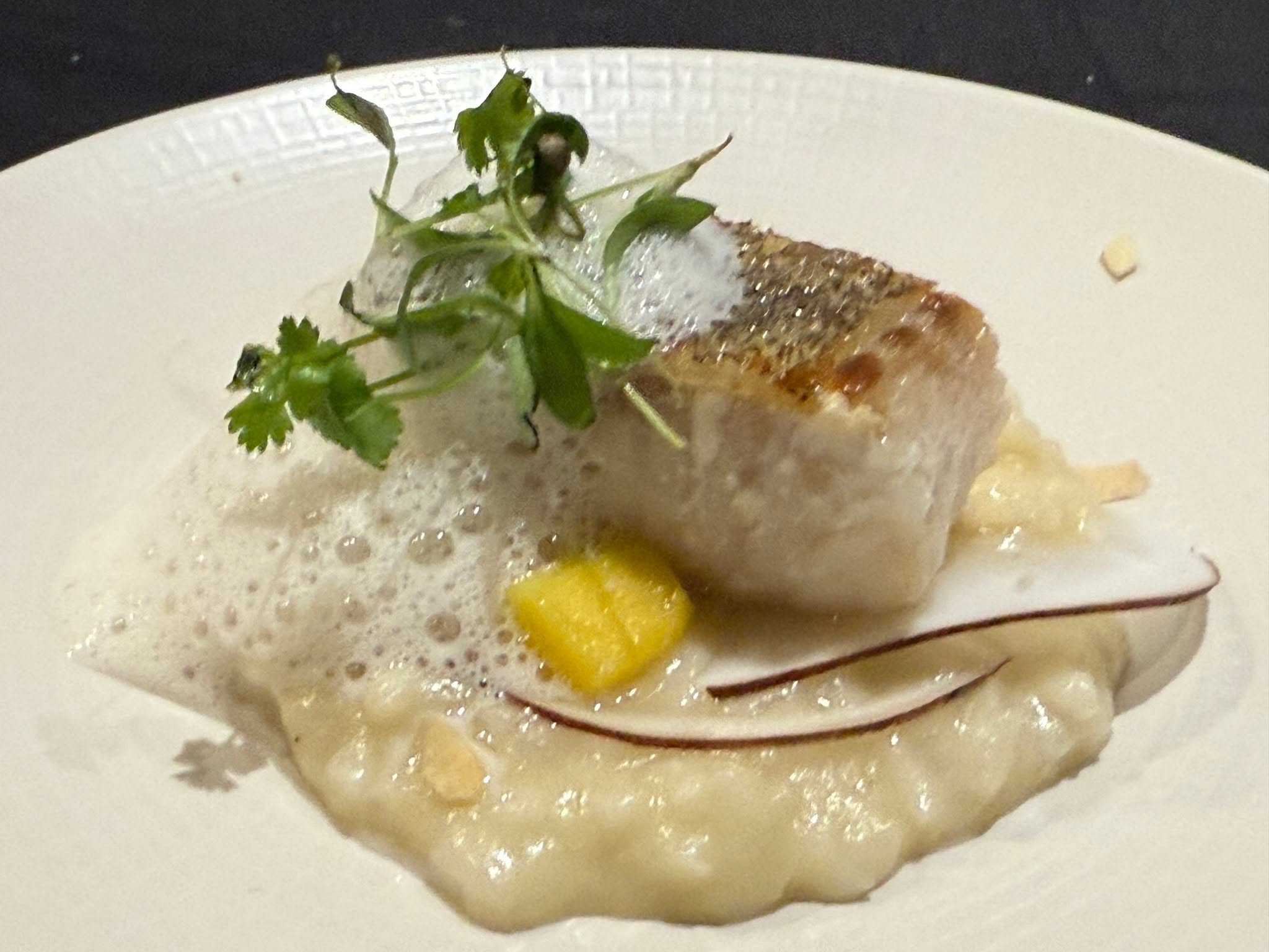 One of our new starters from the winter menu which is now live on our website from a recent dinner party...
Roast Hake, Thai Green Risotto, Mango, Coconut & Toasted Almonds
#dinner #party #caterer #desserts #luxury #bespoke #reading #oxfordshire #finedining #local #buffet #dessert #wedding #passion #bowlfood #glutenfree #privatechef