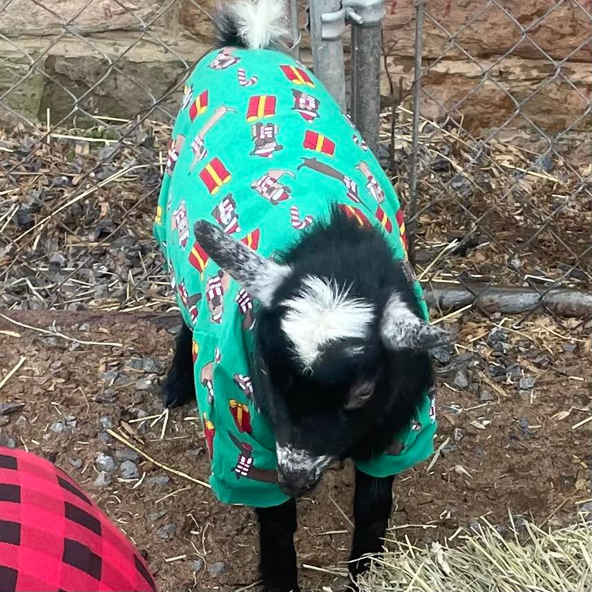 Visit the girls 10 am-2 pm. They aren’t overly excited about their new pj’s. 🫤