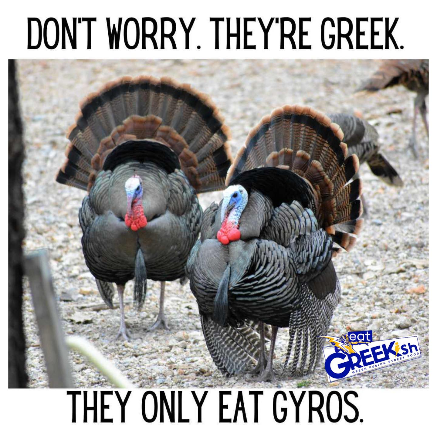 šØUPDATE šØ Itās too darn cold out to be open for Black Friday 11/28. Check out our gift card specials running until Sunday night!
Happy (nearly) Thanksgiving!! We will be closed on Thanksgiving, but running a Black Friday special on 11/28!! Buy two entrees, get a FREE Zeus Fry!! We will also be offering a gift card special starting Friday, 11/28.
Hereās this weekās schedule:
TUE-WED 11/25-26 ~ CVS on 11th ~ 11-2 & 3-7
THU 11/27 ~ CLOSED
FRI 11/28 ~ CVS on 11th ~ 11-2
SAT 11/29 ~ CLOSED