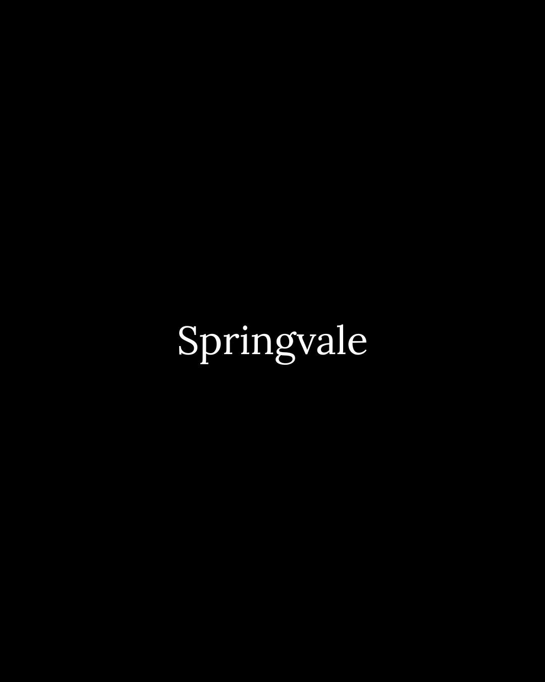 📍 Springvale - promotional video