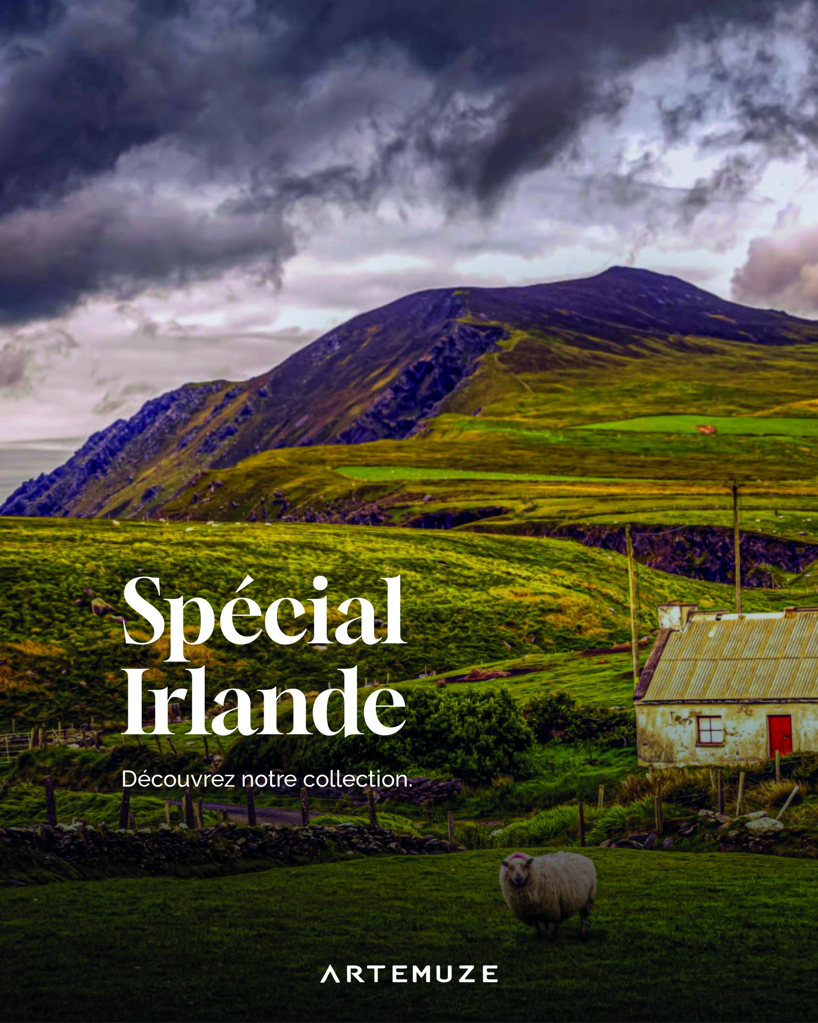 Évadez-vous en Irlande… sans quitter votre intérieur. 💚
La collection « Destinations » sur l’Irlande rassemble coussins, kakémonos et pochettes en velours inspirés des terres sauvages de l’île d’émeraude.
Cottages isolés sous les nuages du Donegal, barques au repos sur des rives silencieuses du Corrib, lignes d’horizon épurées d’une plage du comté de Clare…
Chaque motif des kakémonos est une photographie originale de Philippe Rameaux, fondateur d’Artemuze, qui capture l’âme de ces paysages avec émotion et justesse.
Pour les coussins et les pochettes, les motifs sont inspirés des enluminures celtiques du Livre de Kells, notamment la page Chi Rhô et l’Évangile de Luc.
Imprimées en haute définition sur un velours haut de gamme dans notre atelier alsacien, ces pièces allient profondeur des couleurs et douceur textile, du coin lecture au grand mur du salon.
Plus qu’une simple décoration, une invitation au voyage, à la contemplation… et à l’art textile made in France. ✨
🔗 Collection Irlande à découvrir dès maintenant sur notre site (lien en bio)
#artemuze #kakemono #coussinartisanal #pochettevelours #arttextile #decointerieure #slowdeco #madeinfrance #fabriqueenalsace #artisanatfrancais #voyageinterieur #irlande #paysagesdexception #livredekells #enluminuresceltiques