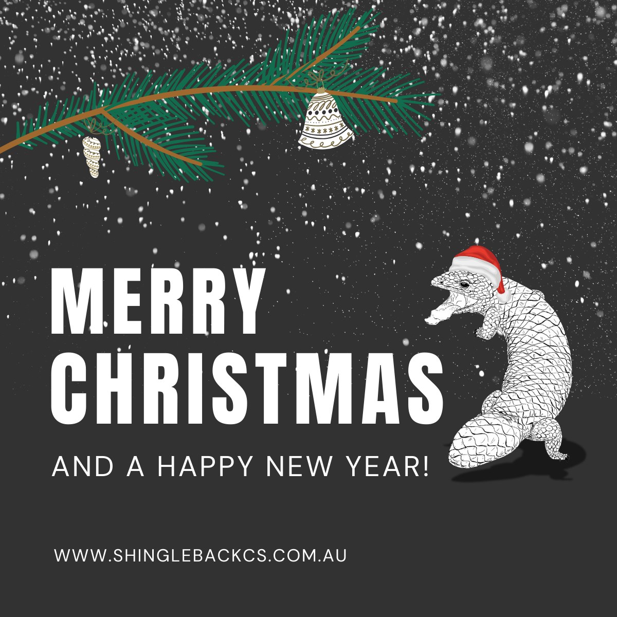 It’s that time of year! 🎅✨
Shingleback Coating Systems will be taking a Christmas & New Year break. Our last working day will be December 19th, and we will return on January 5th.
Wishing all our valued customers a relaxing, safe, and joyful holiday season!
#ShinglebackCoatingSystems #HolidayBreak #Christmas2025 #NewYear2026 #SeasonGreetings #HappyHolidays #FestiveSeason