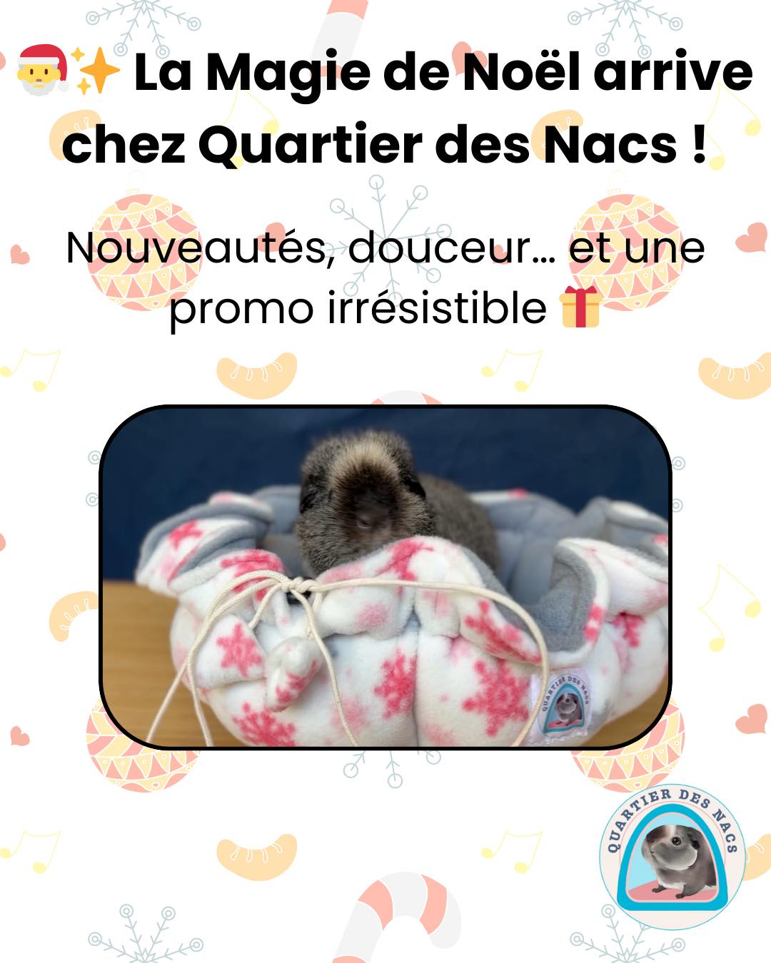 🎄✨ Noël débarque chez Quartier des Nacs avec une pluie de nouveautés et de douceur !
Cette année, vos petits compagnons vont être gâtés :
• Champi, la maisonnette champignon entièrement revisitée
• Le Dodo Salon Flocon de Neige, doux comme un nuage
• Le Nid à Câlin Flocon, parfait pour l’hiver
• Le Nid à Câlin Pain d’Épice, ambiance chaleureuse et festive 🍪
Et pour célébrer Noël comme il se doit…
🎁 –15% sur tout le site du 1 décembre au 10 décembre 2025 !
Code Promo 👉 NOEL15
Un moment idéal pour préparer leurs cadeaux et renouveler le coin dodo ❄️💕
👉 Pense à t’abonner pour découvrir la suite des surprises de Noël !
La magie ne fait que commencer… ✨
Prenez soin de vos animaux avec Quartier Des Nacs
#cochondinde #lapin #animauxdecompagnie #bienetreanimal #rongeurs #noel
