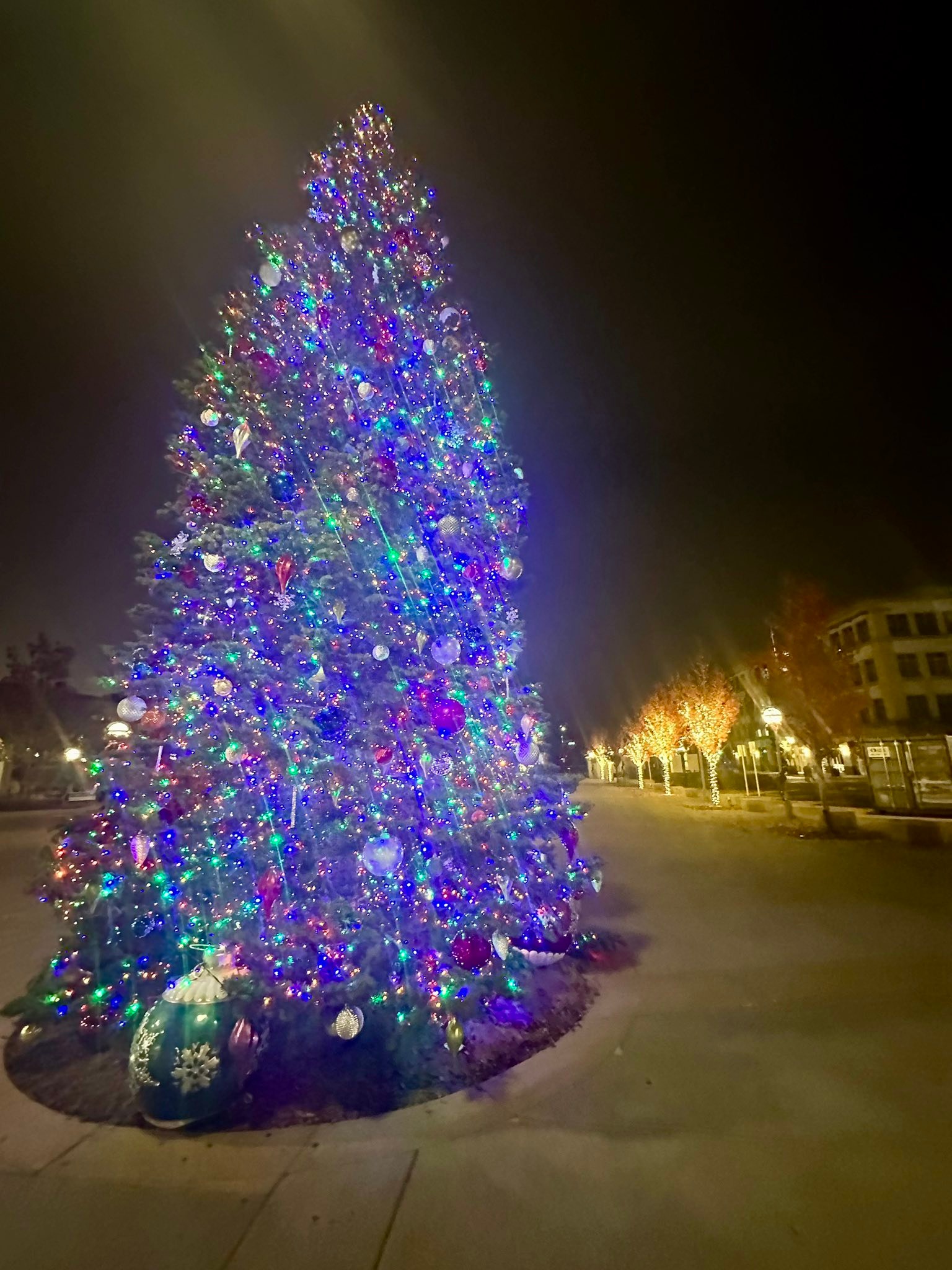 Sneak peek, when someone accidentally turns the tree on befor the lighting of the tree this Thursday 😳