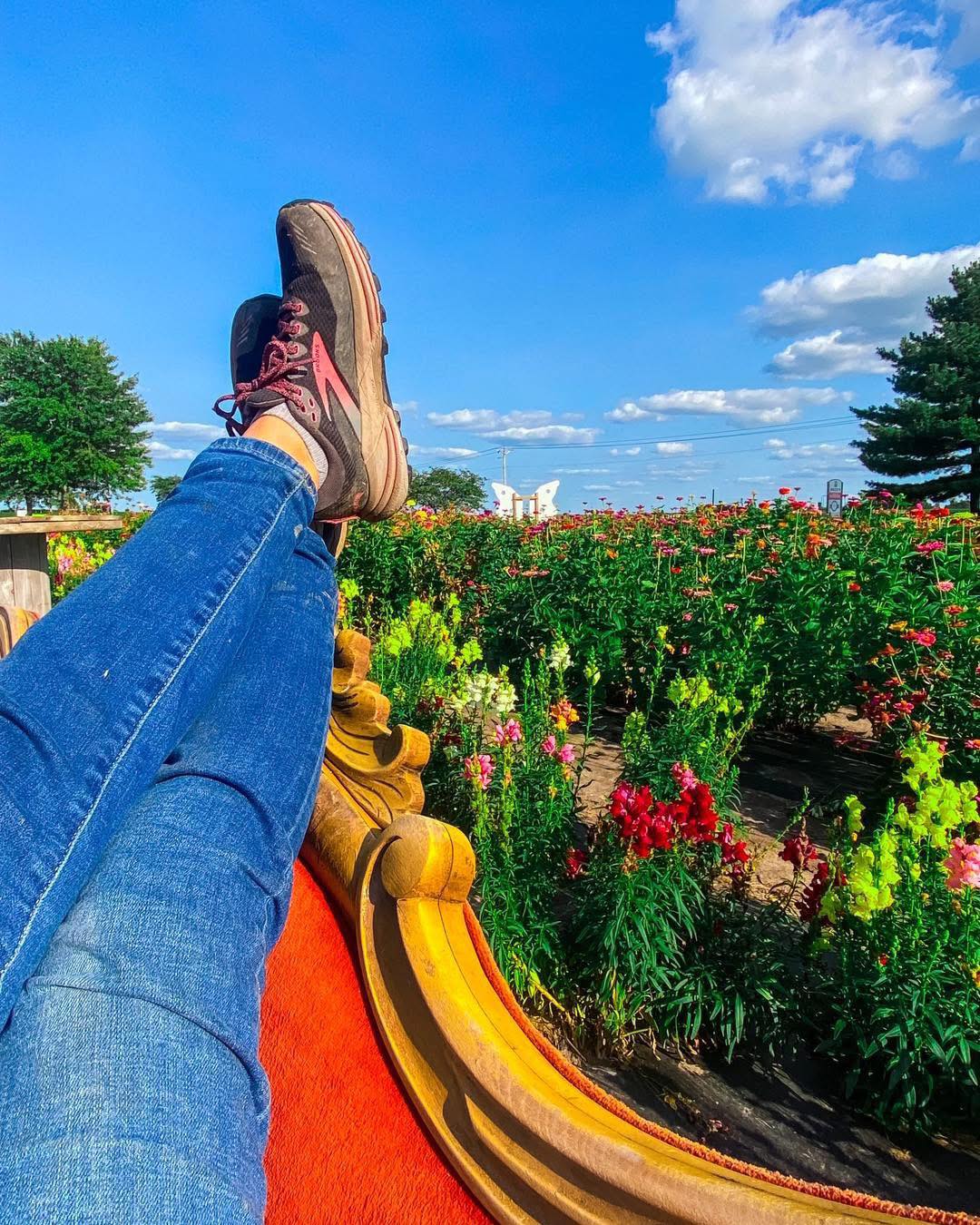 ❄️ On this cold, snowy day, we’re cozied up and daydreaming about all the exciting things coming in 2026… including the construction of something 🔨 BIG…..
We’re talking real big – the kind of big that will bring even more fun & magic to the farm all four seasons of the year!
🌱🌸☀️🎃🏵️🎄❄️
Any guesses what it might be? Drop them below 👇
#BigThingsComing #2026Plans #MariahsMumsAndMore #MoreThanMums #SmallFarmBigFun #MomentsWeLiveFor #SnowyDayThoughts #FourSeasonsOfFun #StayTuned