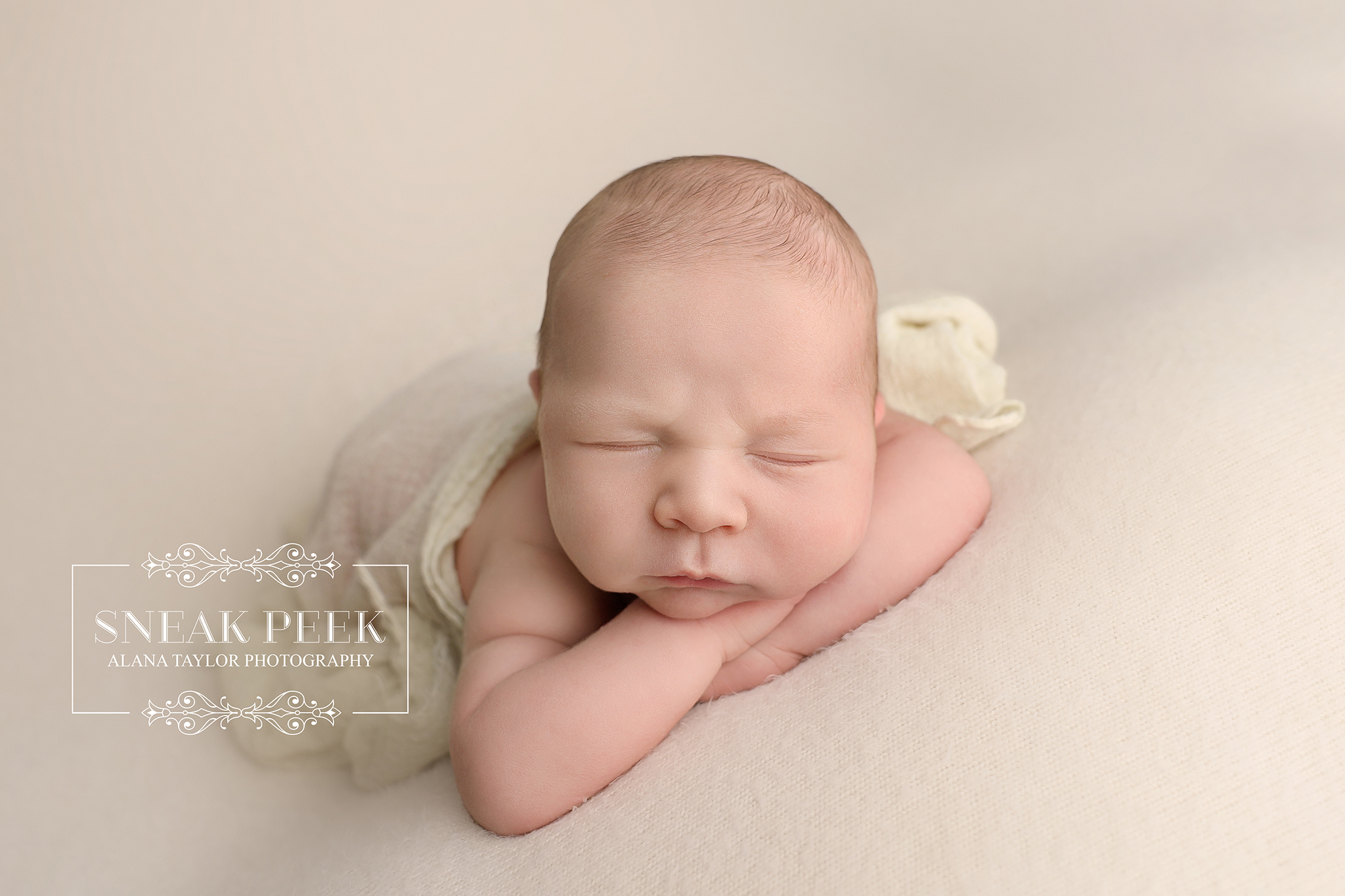 Meet Barnabas — tiny, adorable, and already giving off “I run this household” energy. This little legend arrived in the studio looking around like he was inspecting his new kingdom… and honestly, fair enough. With that cute face, he could probably negotiate his own bedtime.
He gave me a full performance: one minute he was peacefully snoozing like an angel, the next he cracked one eye open to make sure I wasn’t doing anything suspicious with his blanket folds. Babies take quality control very seriously — Barnabas especially.
But once he settled in and decided I was trustworthy (or at least not a threat to his milk supply), he absolutely nailed his session. Perfect poses and perfect squish
If you’ve got a newborn with big personality and even bigger cuteness levels, bring them in… I promise I only mildly embarrass myself to get the shots. 😉📸💙
#NewbornPhotographyMelbourne #MelbourneNewbornPhotographer #ClydePhotographer #SouthEastMelbourne #BabyBoyPhotos #AlanaTaylorPhotography
Melbourne’s Leading Newborn and Cake Smash Photographer – Book Early!
www.alanataylorphotography.com.au
Now taking Newborn Due Date Bookings Dec to May 2025
You can book Online Here
https://www.alanataylorphotography.com/onlinebookings
- Newborn Photography Melbourne
- Smash Cake Photography Melbourne
- Newborn Photographer Melbourne
- First Birthday Cake Smash Photos Melbourne
- Cake Smash Photography Near Me
- Cake Smash Photos Melbourne
- Newborn Photography Near Me
- Newborn Baby Photographer Melbourne
- Cake Smash Photographer Melbourne
- Affordable Newborn Photography Melbourne
#babyphotographermelbourne #firstbirthdayphotos #cakesmashphotosmelbourne #newbornphotographermelbourne #newbornphotographymelbourne #newbornbabyphotographermelbourne #affordablenewbornphotographymelbourne #newbornphotographynearme #babyphotographyideas #firstbirthdaymilestone #babysmashcake #babyphotographyprops #melbournemums #melbournebabyphotographer #clydenewbornphotographer #southmelbournephotographer #babyphotographyinmelbourne #alanataylorphotography