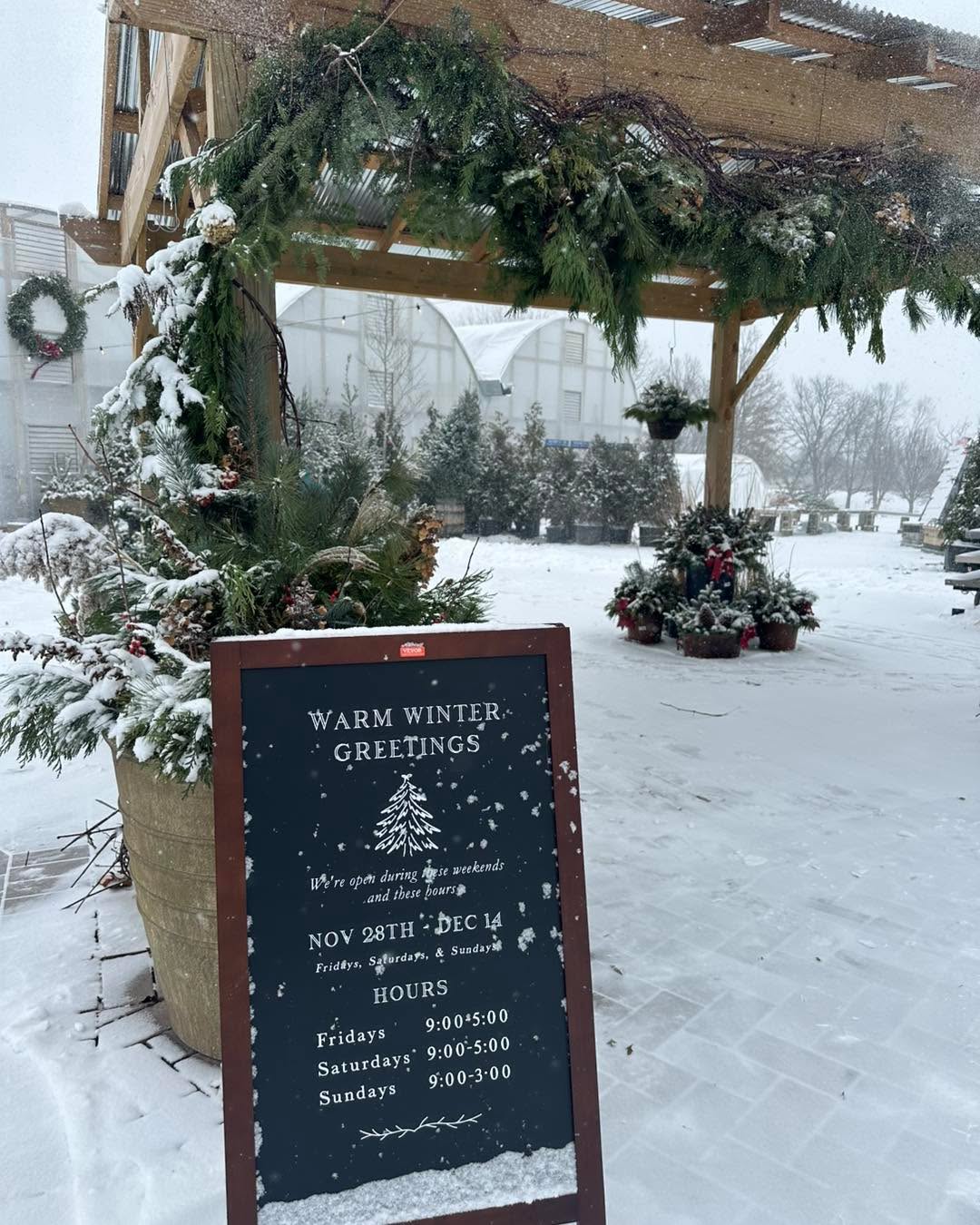 We are open until 12 today due to the weather. Our employees have to get home safely too!
Drive safe if you’re planning to visit today! We have hot cocoa to warm up with!
There’s nothing like picking out your tree in a winter wonderland!
Open 9-12 today
#gardencenters #gardencenterlife #gardencenter #stcharlesillinois #genevaillinois #bataviaillinois #sugargroveil #oswegoil #stcharlesil #auroraillinois #genevail #oswegoillinois #bataviail #sugargroveillinois #aurorail