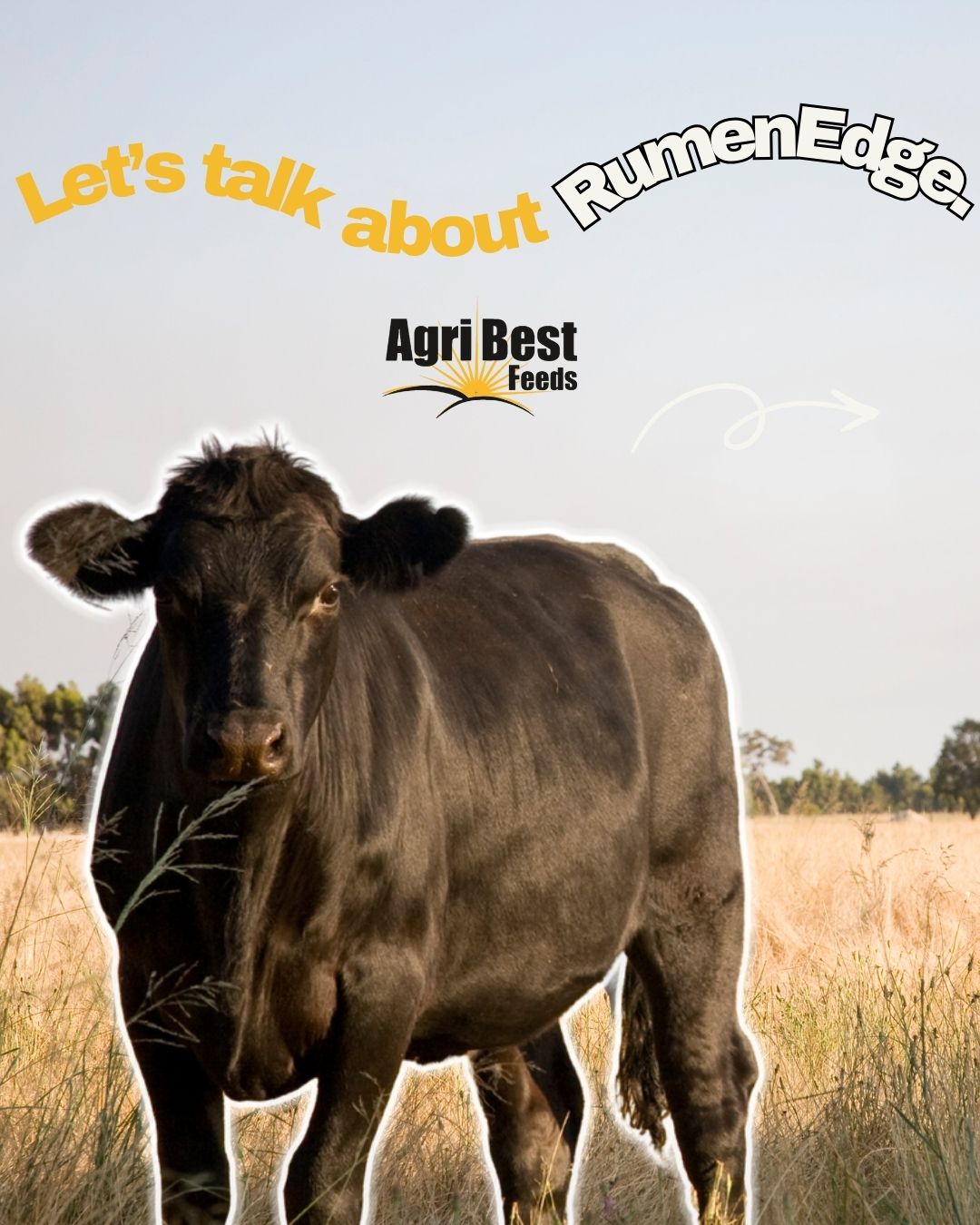 Effective nutrition for your livestock doesn’t have to be complicated!
1️⃣No urea or molasses
2️⃣ Natural ingredients only
3️⃣ Gut health + Feed efficiency = Herd health
Find out more: https://www.agribestfeeds.com/products/rumenedge
#rumenedge #allnatural #betternutritionsuperiorperformance