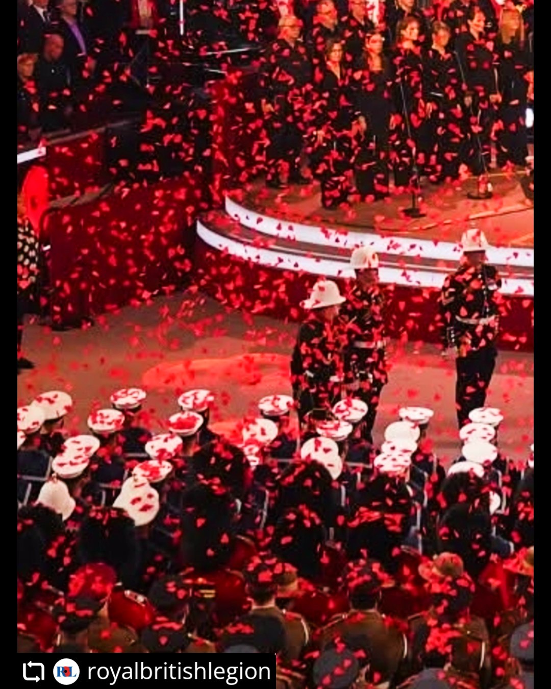 Honoured to have worked on the Festival of Remembrance at the Royal Albert Hall once again this past November. Supplying the poppy drop is always a privilege, and we’re proud to contribute to such a special moment of reflection and be part of such a meaningful event.
#FestivalOfRemembrance #remembranceday #royalalberthall