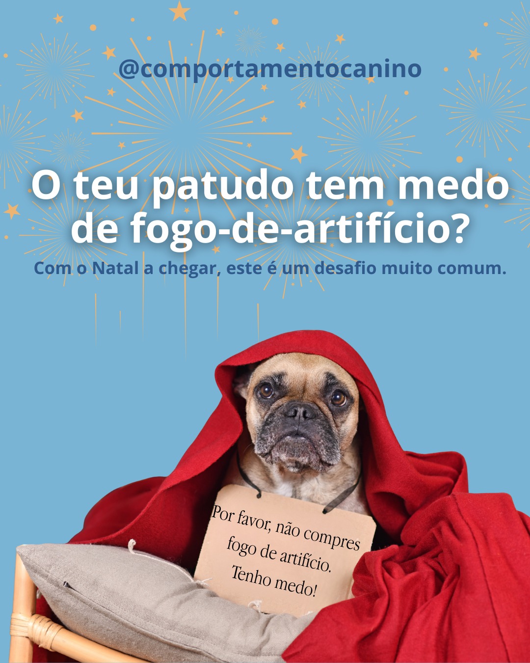 Os fogos de artifício podem transformar uma época festiva num momento de verdadeiro pânico para muitos patudos. 🎆🐾
E não é “manha”, nem “drama”: é medo real.
O barulho é imprevisível, intenso e impossível de identificar, por isso, o corpo deles entra logo em alerta máximo.
Mas a boa notícia é que podemos ajudá-los.
Com preparação, treino, dessensibilização e rotinas consistentes, muitos patudos conseguem enfrentar estes momentos com muito mais segurança e tranquilidade. 💛
Se o teu patudo sofre com fogo de artifício e não sabes por onde começar, envia-nos mensagem.
Estamos cá para vos ajudar🐾✨