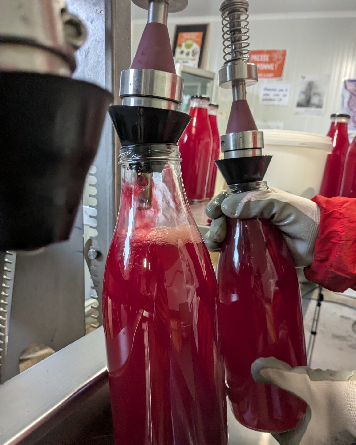 🍎🍹Notre jus Pomme Betterave Carotte & Gingembre est de retour !
Nous sommes très heureux de la saveur de cette cuvée 2025, a venir découvrir au Magasin paysan des Fermes de deux'main !
C'est une tonne de fruits et légumes qui a été récoltée et pressée:
770kg de pomme 🍎
125kg de carotte 🥕
100kg de betterave
606 bouteilles produites 🥂
Idéal pour les fêtes de fin d'année 😉
#CircuitCourt #ventedirecte #maraichagebio #Bayeux #maraîchagebio #bayeux #produitsfermierslocaux #produitsdermiers