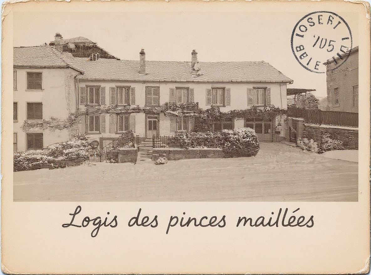 📜✨ Le Logis des pinces maillées : un héritage à vivre !
Vivre ici, c’est toucher du doigt près de 200 ans d’histoire industrielle ! Grâce à un document d’expertise rare de 1931, nous avons (re)découvert les secrets de cette maison emblématique, autrefois cœur de l’industrie locale. Lucien Hugoniot, puis son fils Jules, y ont écrit une part de l’histoire de la pince et du petit outillage à Montécheroux à travers leurs entreprises, Hugoniot-Tissot et Hugoniot Perrenoud et Cie.
Aujourd’hui, notre maison d’hôtes perpétue cette mémoire. Entre parquets d’époque, boiseries du XIXe siècle et poêle Art Nouveau, chaque détail raconte une aventure humaine. Nous y partageons aussi des collections d’outils anciens et des archives, pour une immersion unique dans le patrimoine local.
💡 Une expérience où histoire et convivialité se rencontrent. Venez vivre ce voyage dans le temps !
⚠ L'image en format type carte postale ancienne est un visuel généré par IA sur la base d'une photo récente de la maison.
#Patrimoine #HistoireLocale #Doubstourisme #MaisonDhôtes #Chambredhôtes #Voyagerautrement #tourismeindustriel #tourismepatrimonial