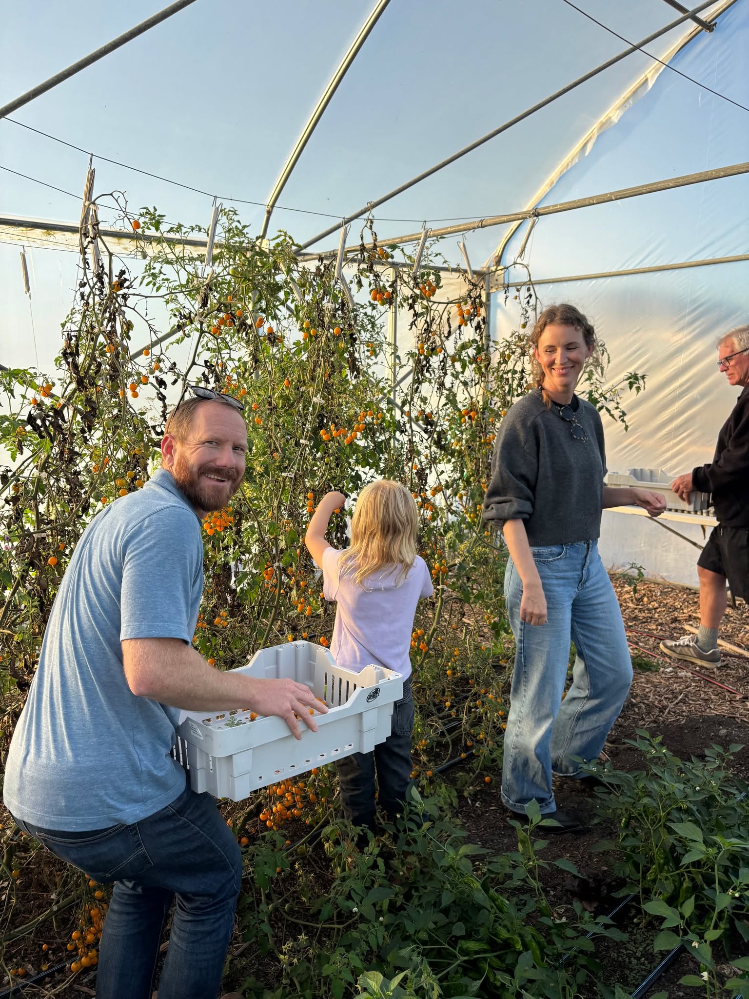 Our final community farm tour of the year is happening this Saturday!
๐9:30 AM, Saturday December 6th at City Farm SLO
Learn about our regenerative agriculture practices, visit our sheep and chickens, go on a taste tour, get your hands dirty with a farm project, and taste fresh fruits and veggies!
This 60-90 minute tour is perfect for all ages! Please register 48 hours in advance. Walk-ins are welcome as space allows!
Register now at the link in our BIO!
#smallbusinesssaturday #localfarmers #supportlocal #urbanfarming #youtheducation #OutdoorLearning #SLOCounty #SLOcommunity #SLOStrong #CentralCoastLiving #SLOlocal #SLOtogether #SLOCommunityFarm #SLOEvents #SLOKidsActivities #SLO #CentralCoastGrown #SLOCountyFarms #sloagriculture #SLOFarmLife #SLOCountyKids #SanLuisObispoKids #SLOCountyEvents #FarmTourSLO