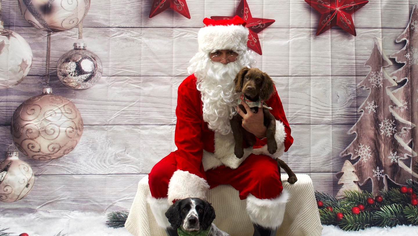 🎄🐾 Join Us for a Cowtown Christmas with Santa Paws! 🐾🎄
Santa Paws is coming to town, and we can’t wait to celebrate with you! Bring your furry family members for a festive photo session at Hollywood Feed — all for a great cause.
📅 Date: December 6, 2025
⏰ Time: 1:00 PM – 4:00 PM
📍 Location: Hollywood Feed
📫 Address: 3204 Camp Bowie Blvd, Unit 110, Fort Worth, TX 76107
💵 Minimum Donation: $20 per pet photo
✨ All proceeds go directly to support FWACC— helping provide care, shelter, and love to animals in need.
🚗 Parking Update:
Parking lot access is only available from West 7th due to construction — the Camp Bowie side is closed. Nearby street parking is available, and there’s also a garage just across West 7th on Barden Street for easy access.
Come make holiday memories, support FWACC, and celebrate the season with Santa Paws! 🎁🐶🐱