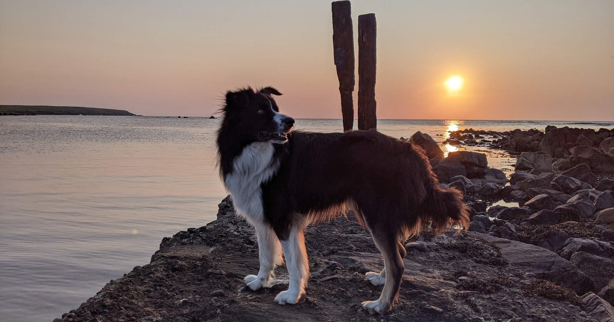 Looking for a dog-friendly holiday? North Lewis is ready to welcome you and your pup. 🐾
With miles of beaches, quiet trails and lots of space to roam, it’s an ideal spot for dog-loving travelers. Pack the leads, the treats and the toys - the island is waiting.
📷 Kiera Macdonald
📷Kevin Donner
📷 Heather Donnelly
📷Phillipa Hare
#westernisles #outerhebrides #hebridean #scotland #scottishisland #hebrides #scottishphotography #islandlife