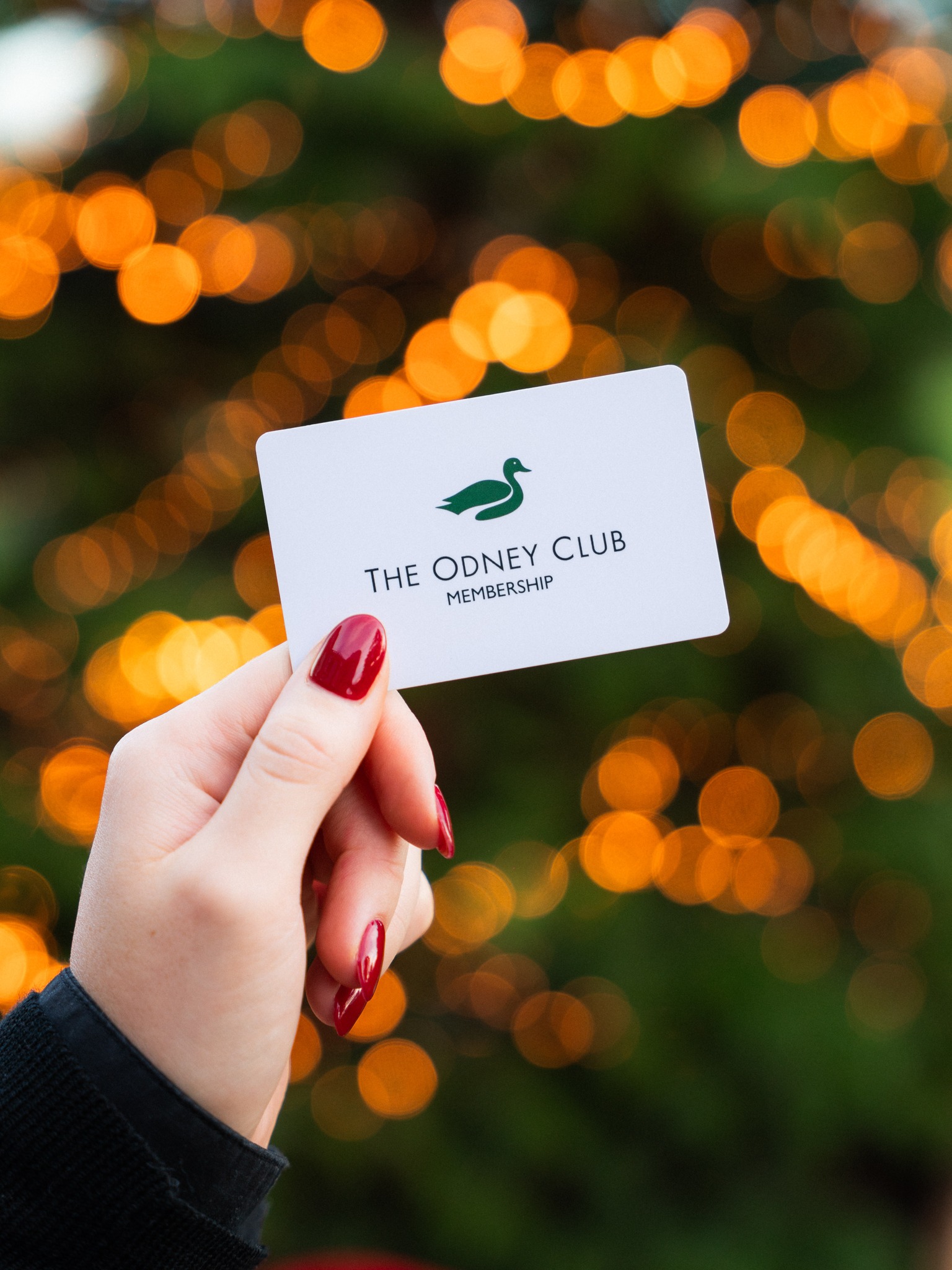 An early Christmas gift from us to you, is it too soon? 💝
From now until 31 December, Partners can get 33% off memberships for them and their additional card holder 🤩
Head to PartnerChoice to find out more and grab yourself a festive bargain ✨