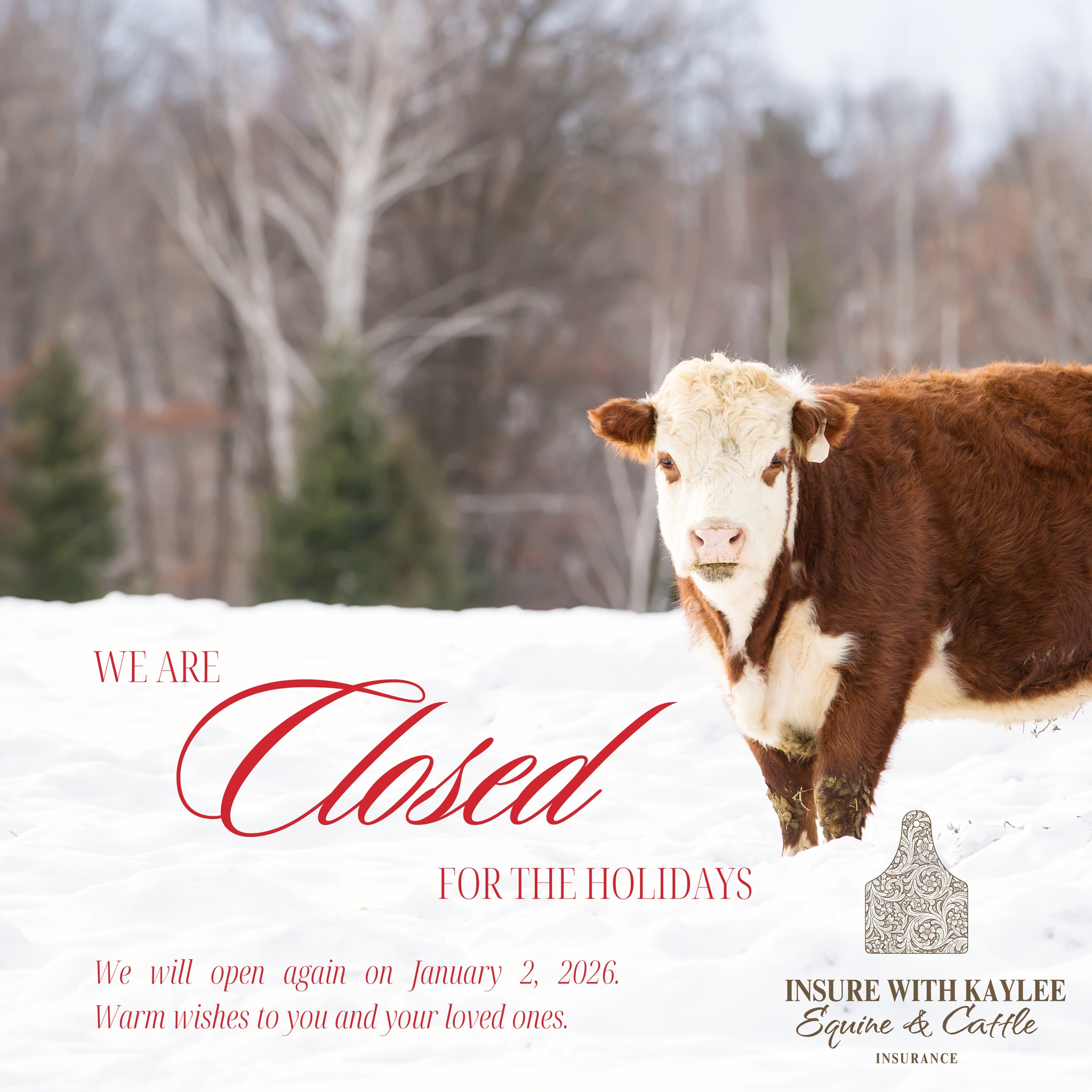 Our office will be closed for the holidays until January 2nd, 2026.
We’ll still have our phones on us just in case something urgent comes up.
If you experience an emergency with your animals, please call the number listed on the binder we sent you first, and then please follow up with us afterward so we’re in the loop.
Wishing you a safe, peaceful, and happy holiday season 🤎✨