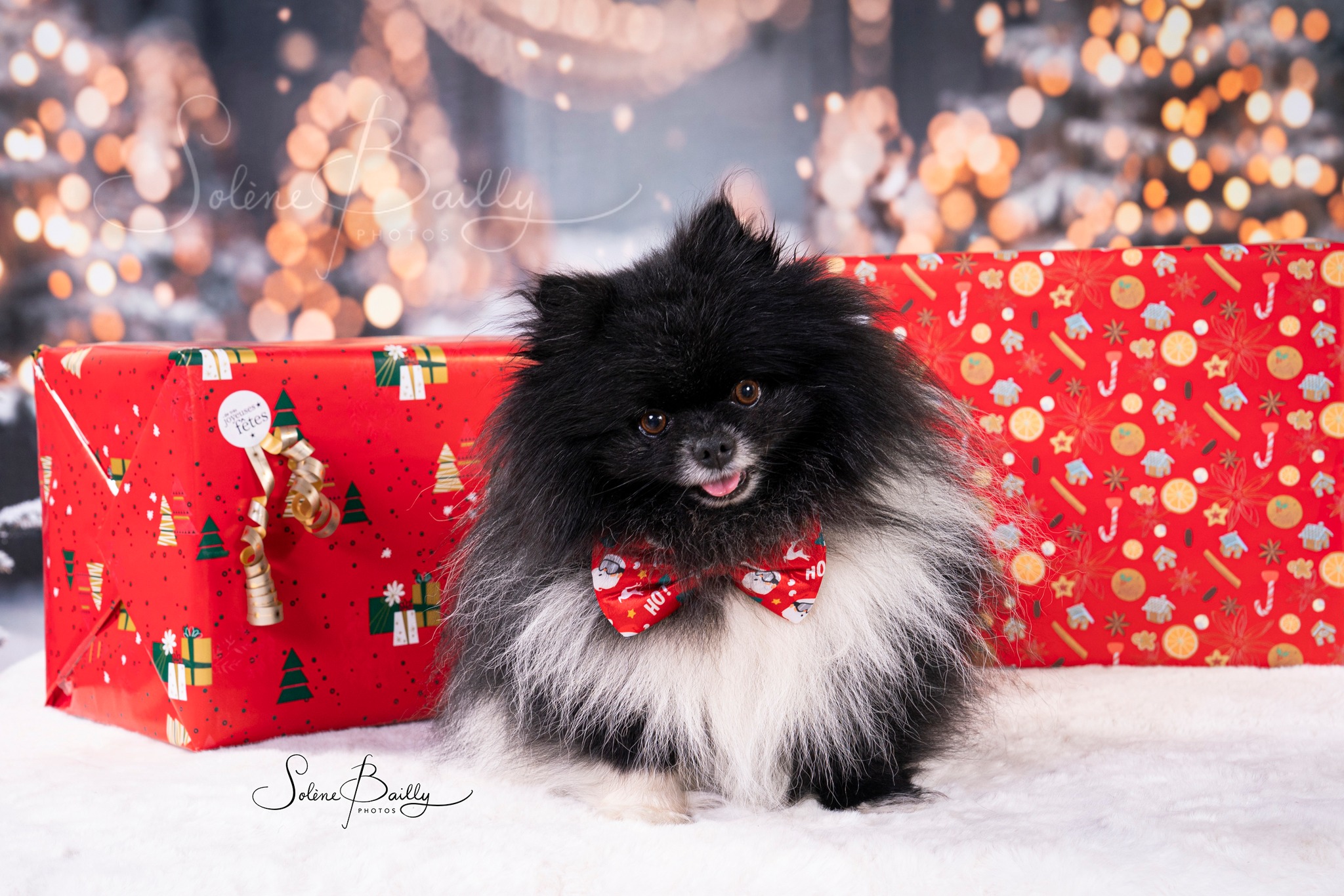 📸✨ Rendez-vous demain pour le tirage au sort qui désignera le grand gagnant de notre surprise parmi les participants du shooting photo au JMT Cholet ! Qui repartira avec le lot ? Suspense… 🎁
.
.
.
#restezconnectés #ShootingPhoto #JMTCholet #TirageAuSort #SurpriseÀGagner #Concours #Photographie #Cholet #RestezConnectés